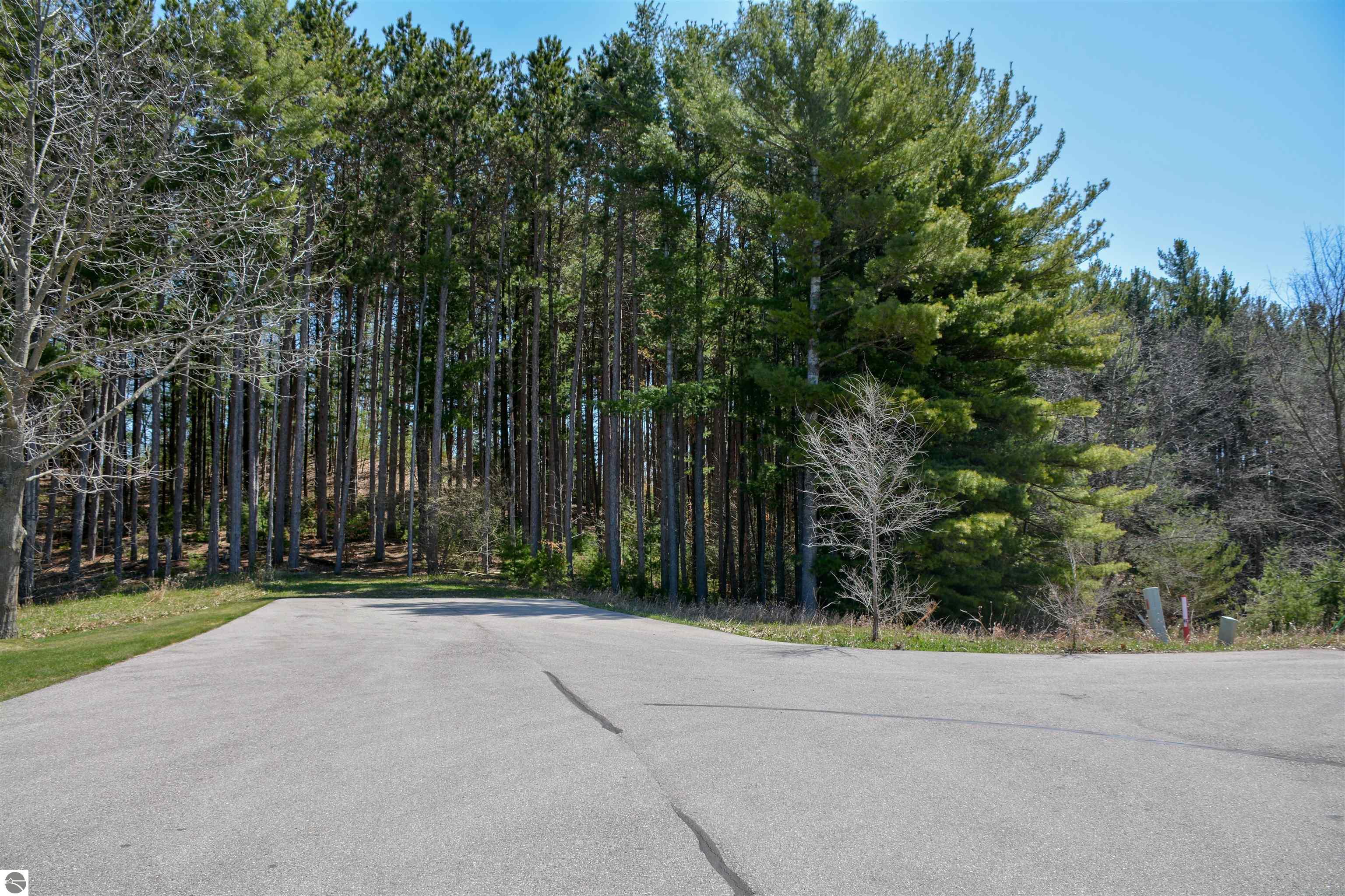 Traverse City, Michigan, 49696, United States, ,Land,For Sale,1850292