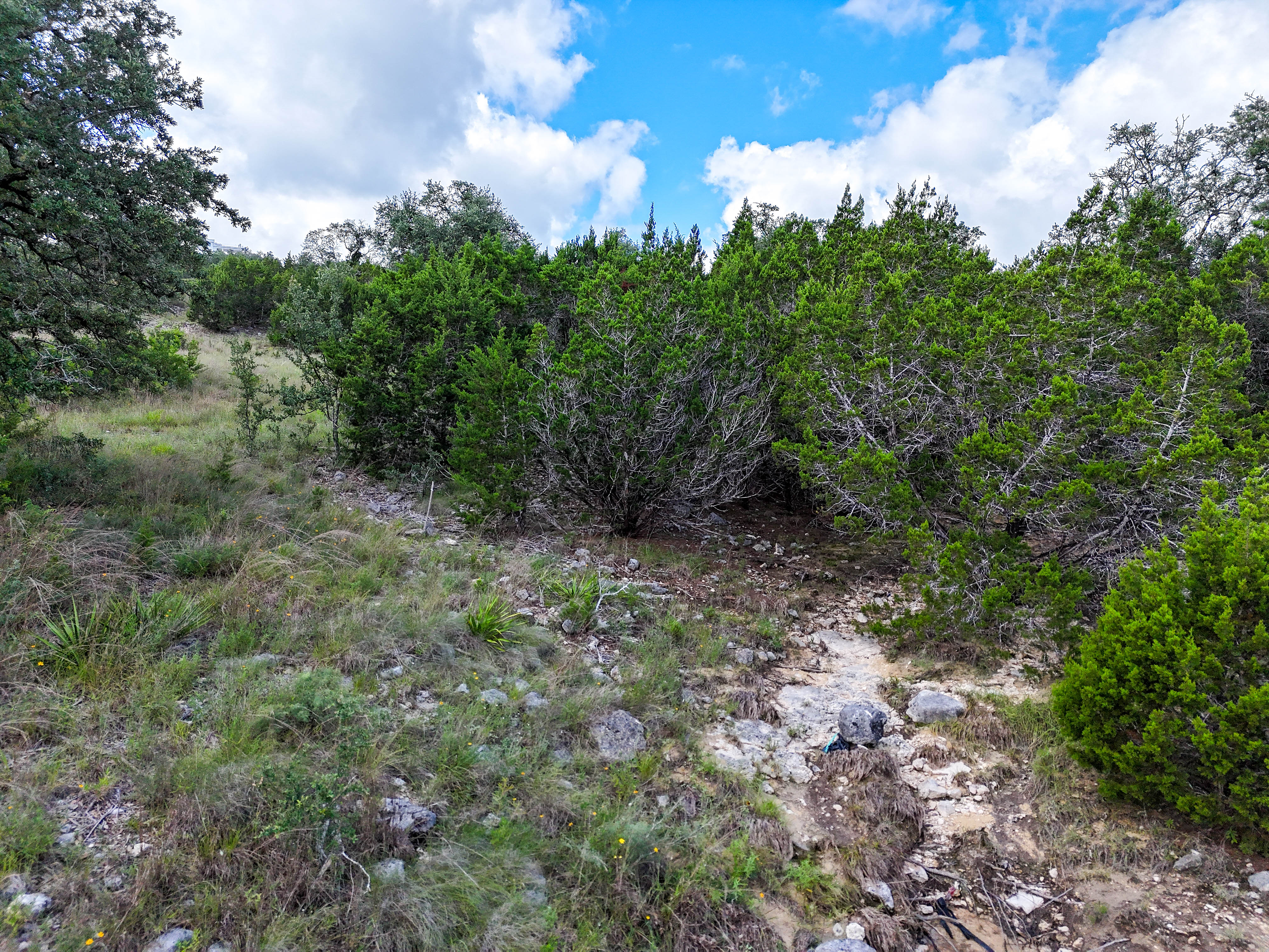  Exceptional Opportunity - Three Adjacent Lots - 物件實景