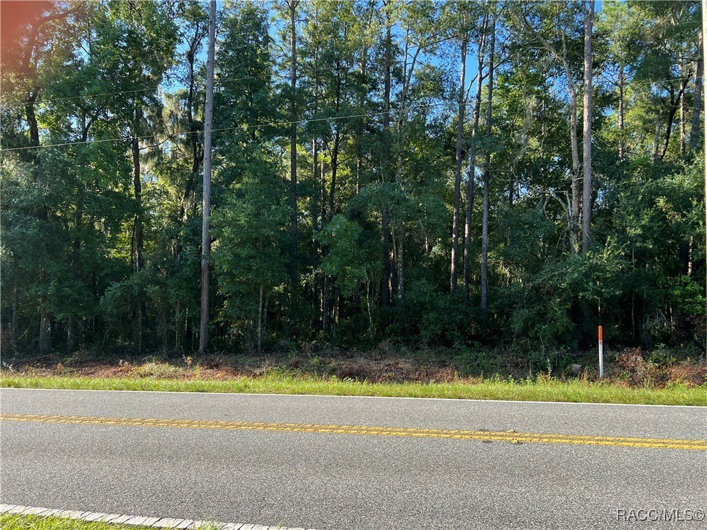 Inverness, Florida, 34452, United States, ,Land,For Sale,1980854