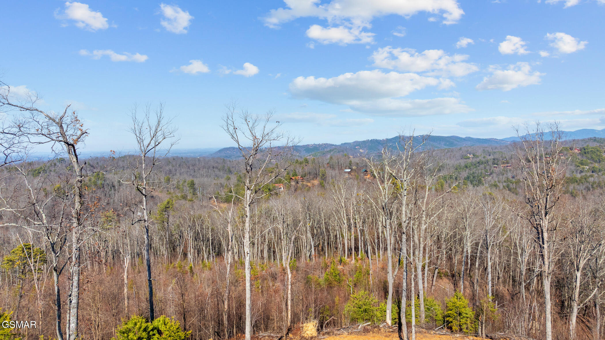 Gatlinburg, Tennessee, 37738, United States, ,Land,For Sale,1973768