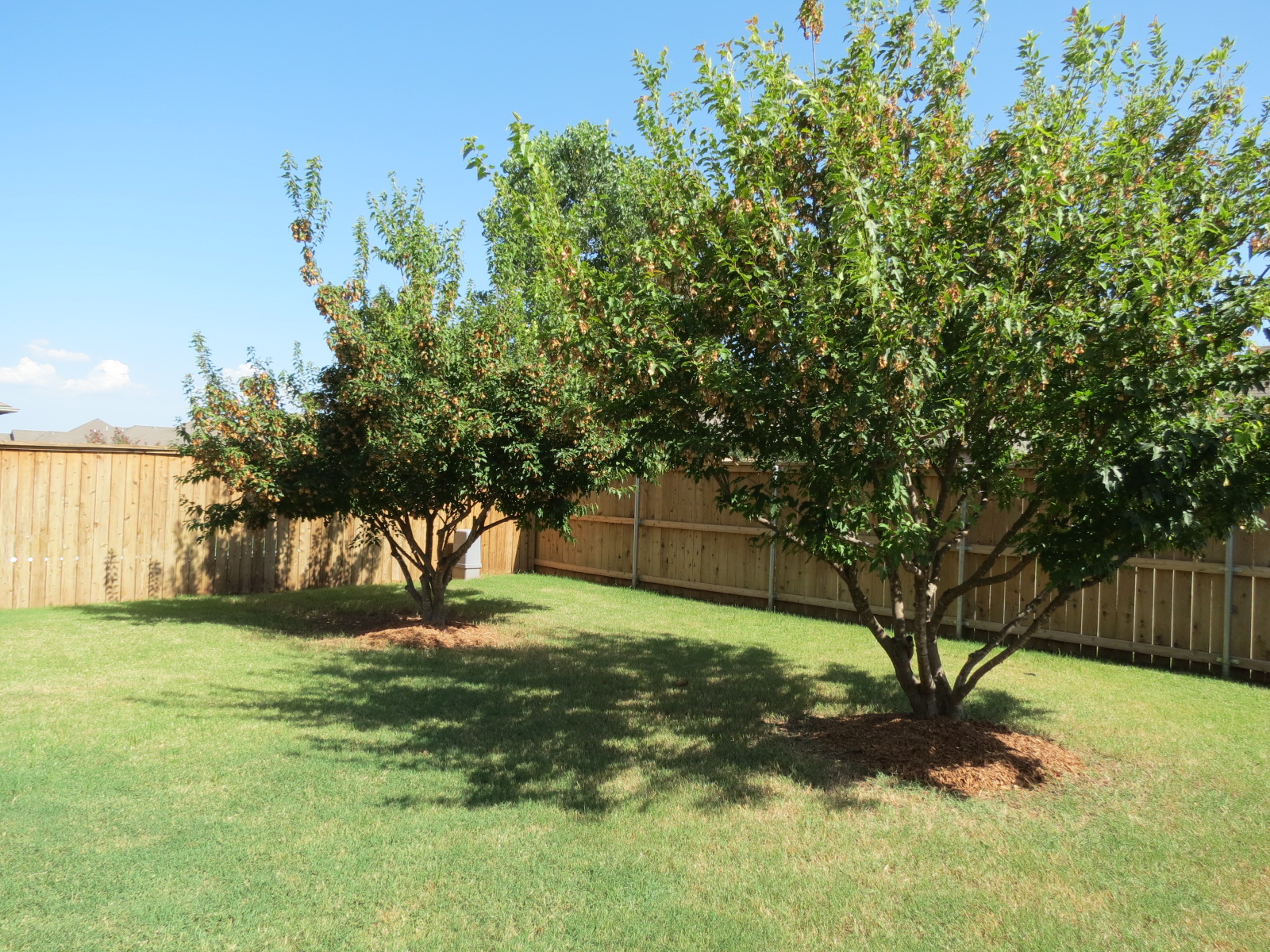 Stillwater, Oklahoma, 74074, United States, 4 Bedrooms Bedrooms, ,4 BathroomsBathrooms,Residential,For Sale,1907599