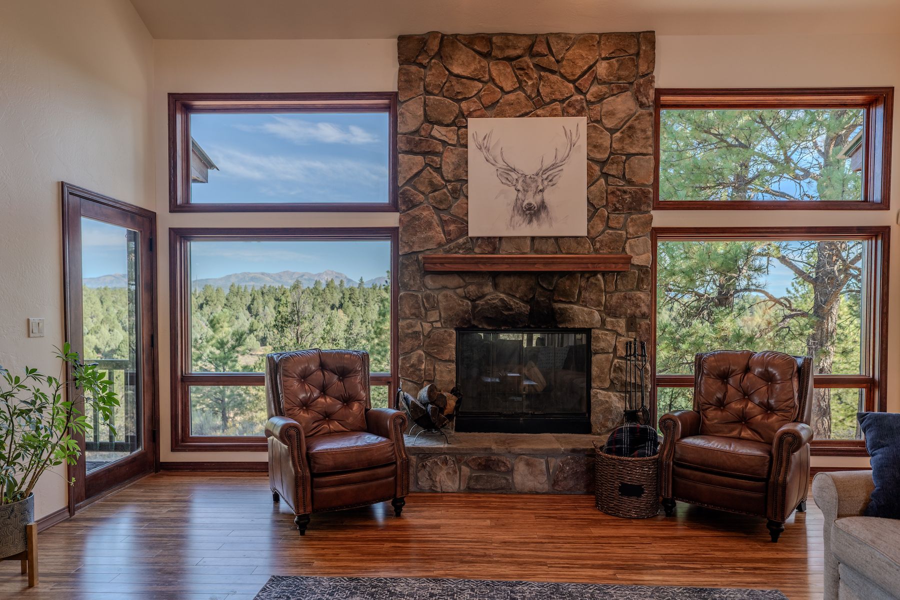  287 Wildcat Trail, Durango, CO 81301 - 物件實景