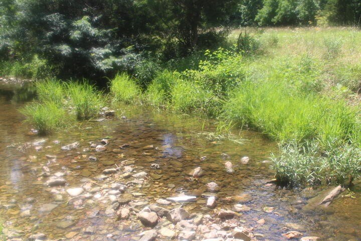 Polk, Missouri, 65727, United States, ,Land,For Sale,1980569