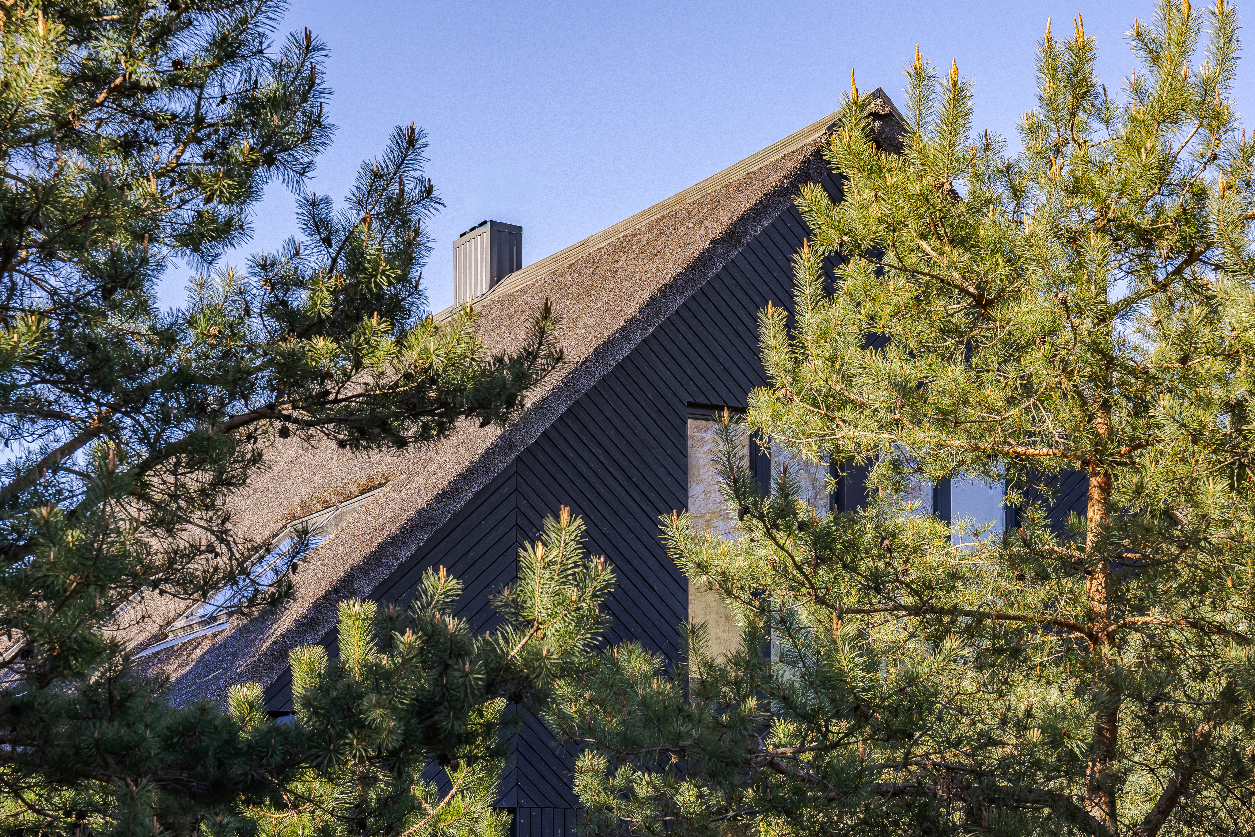  A house by the Baltic Sea surrounded by pines - 物件實景