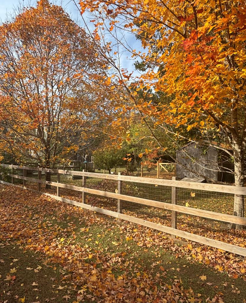 Onancock, Virginia, 23417, United States, 3 Bedrooms Bedrooms, ,2 BathroomsBathrooms,Residential,For Sale,1989733