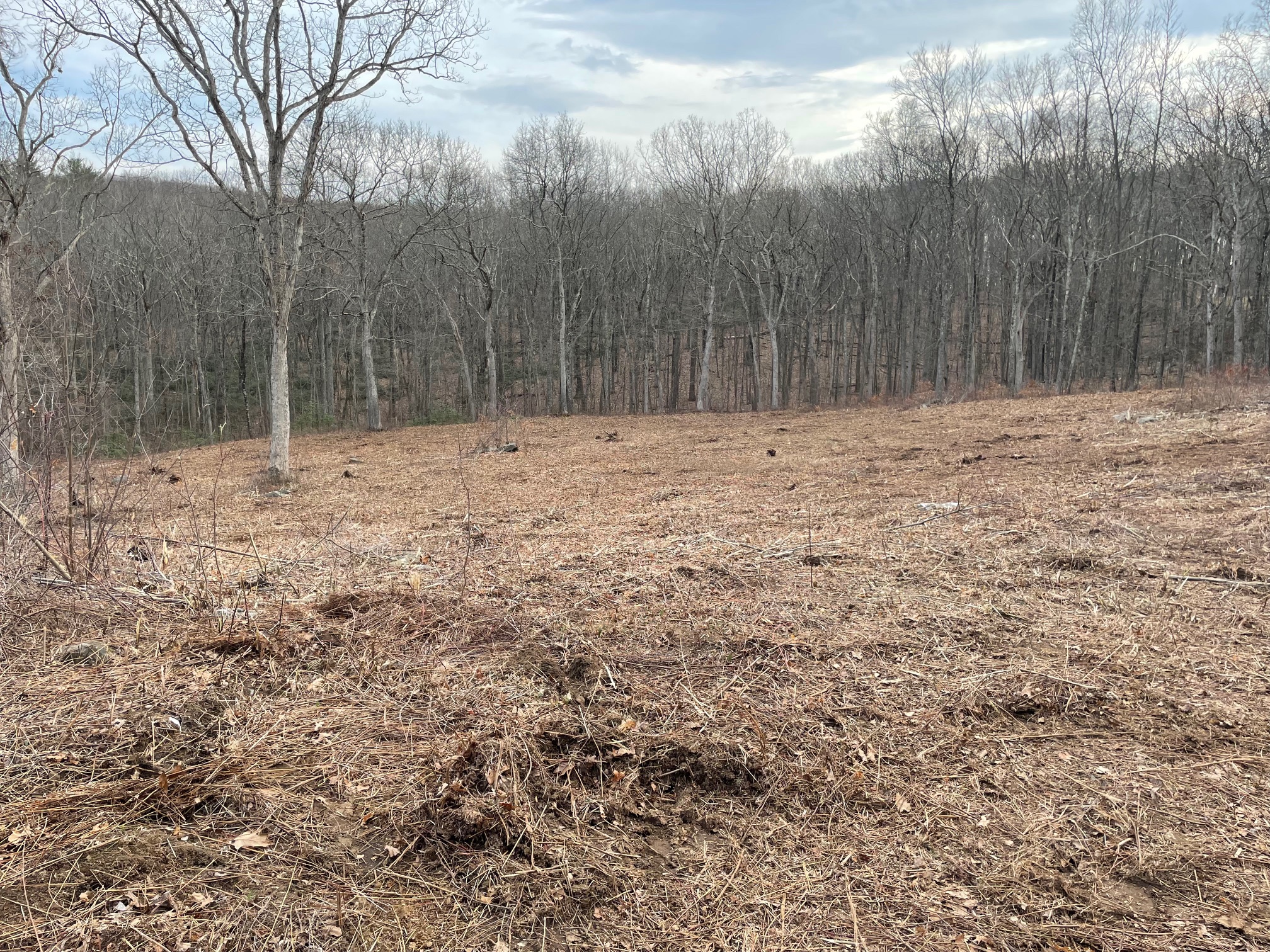  197 Tinker Hill Road - 物件實景