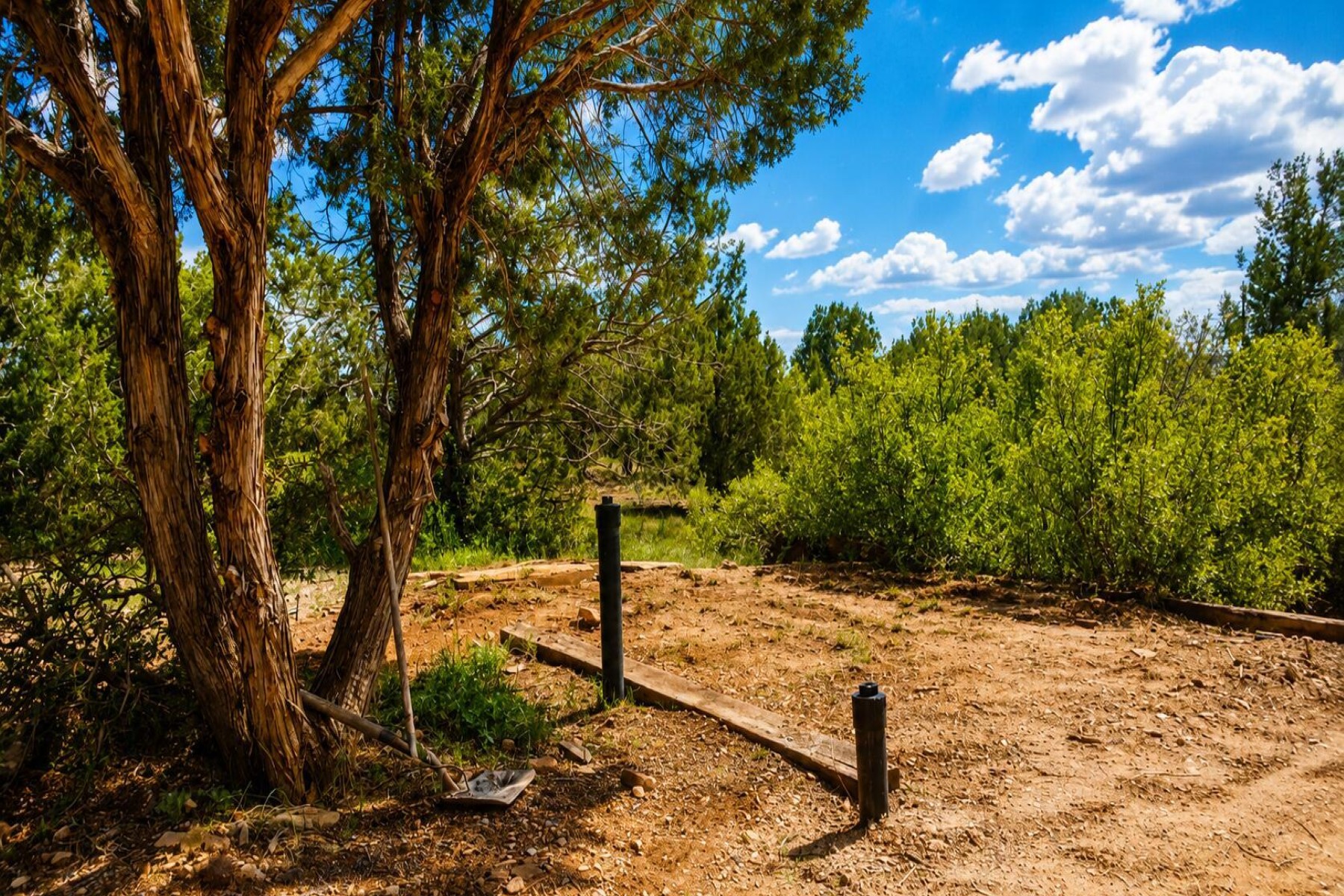  101 W Highland Street¦Williams, AZ - 物件實景