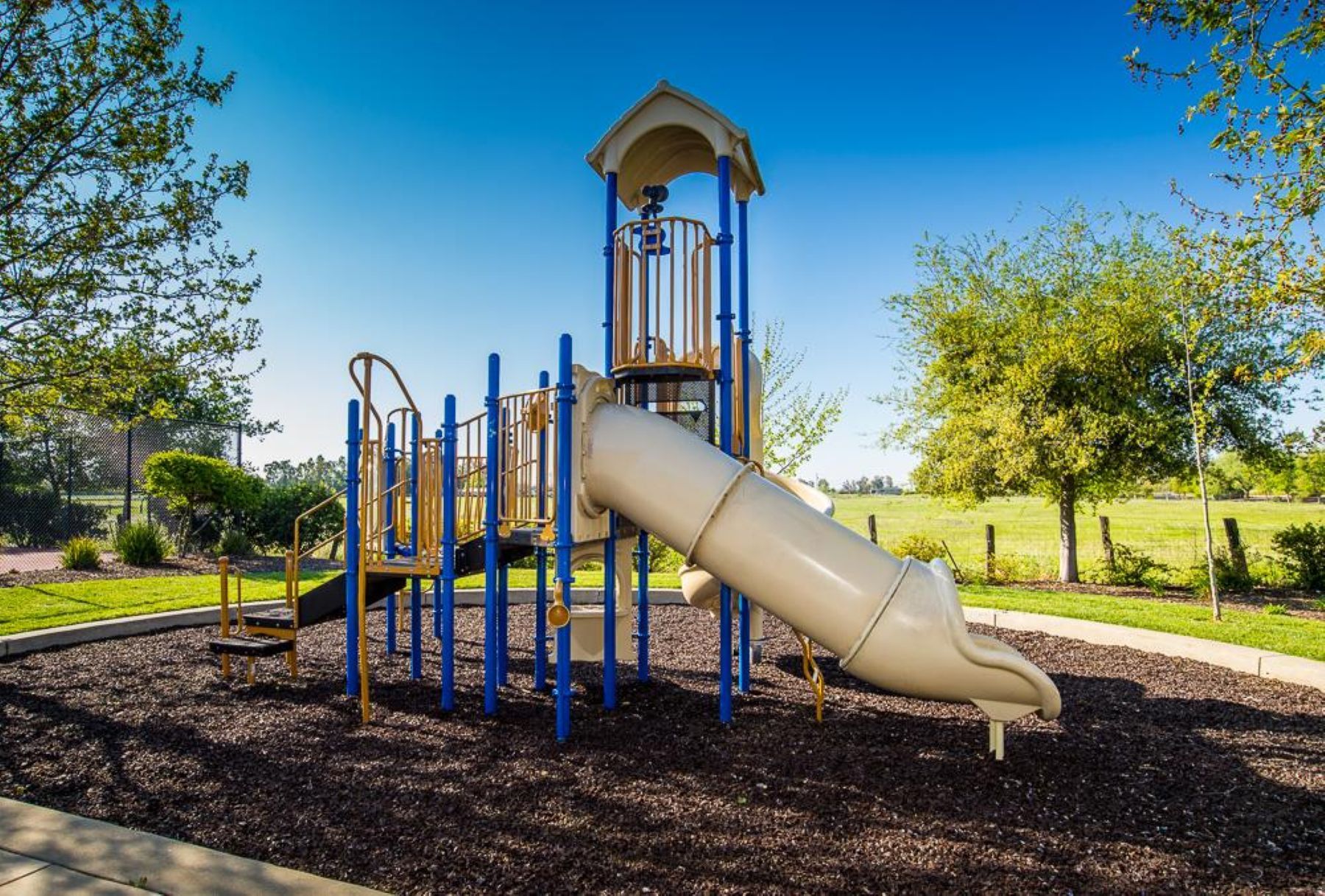  33203 Pintail Street, Woodland, CA 95695 - 物件實景