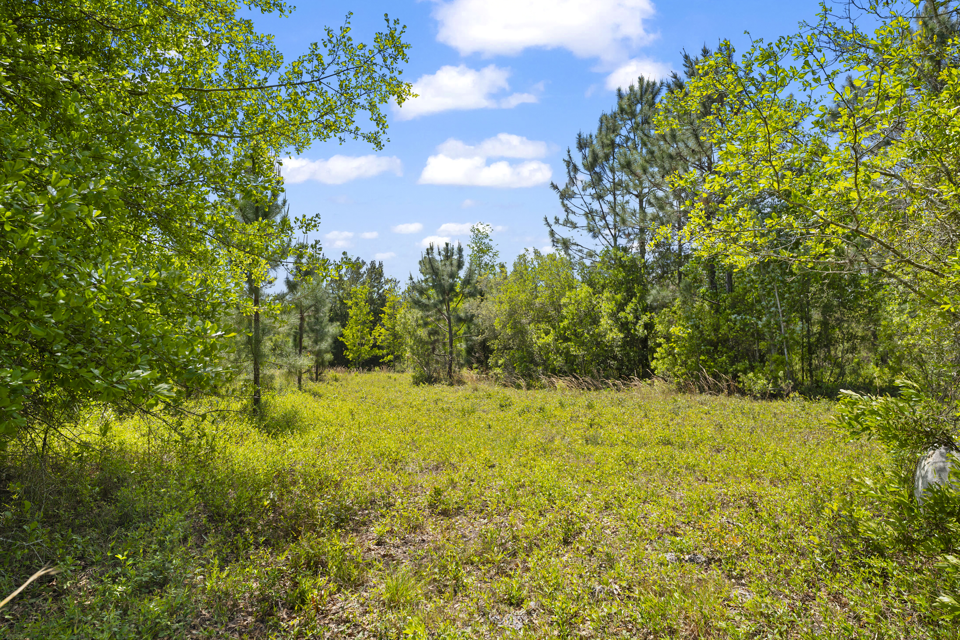  5371 Church Road, St. Augustine, FL, 32092 - 物件實景