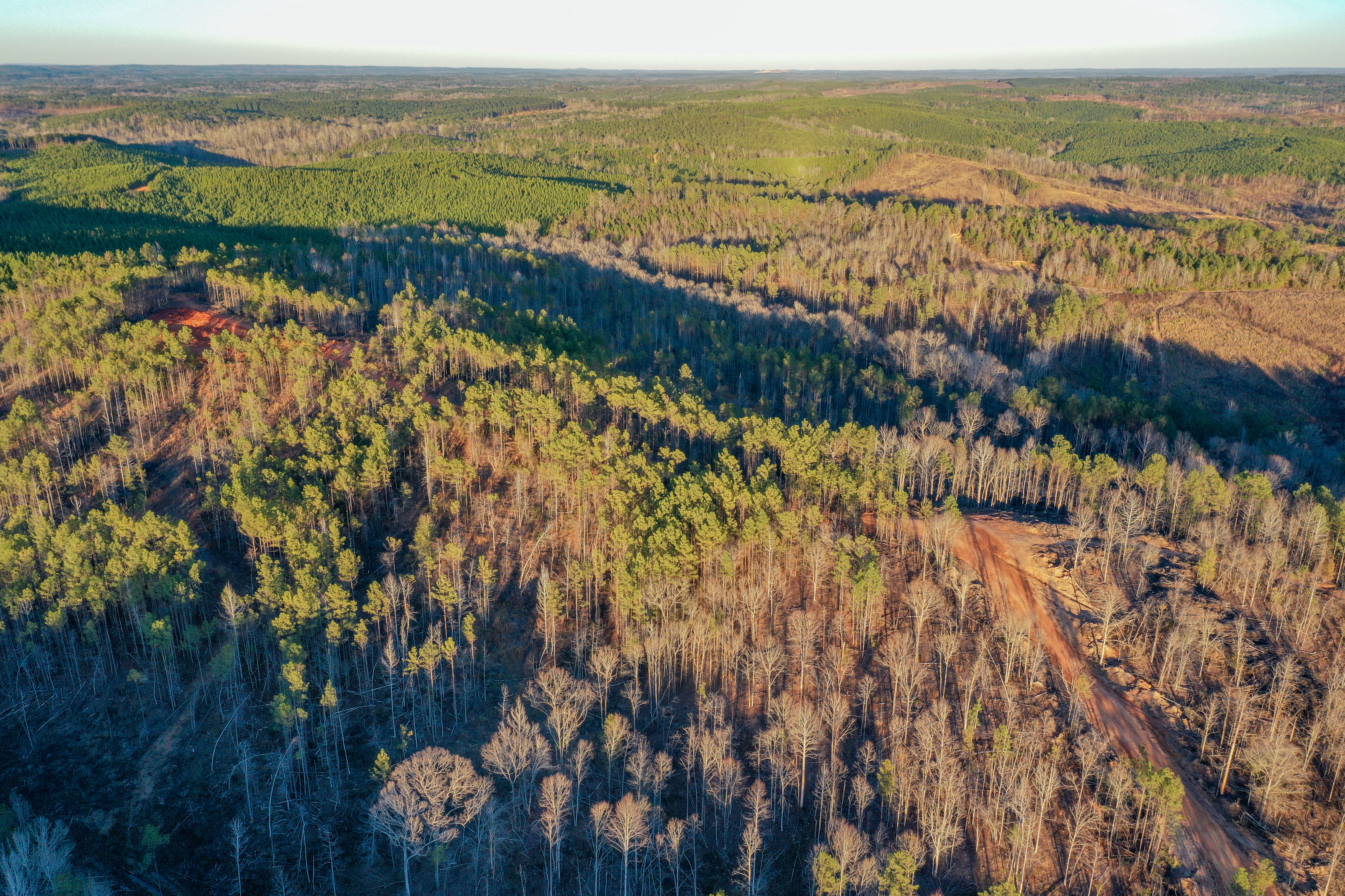 Centreville, Alabama, 35042, United States, ,Land,For Sale,2010430