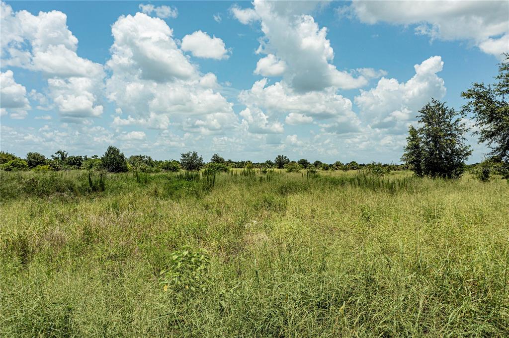 Arcadia, Florida, 34269, United States, ,Land,For Sale,1997252