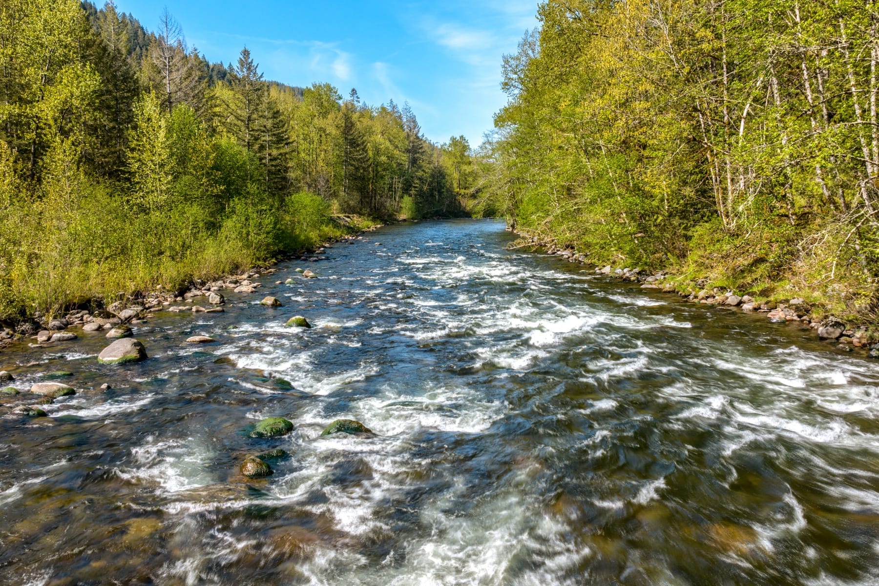  58200 E MARMOT RD Sandy, OR 97055 - 物件實景
