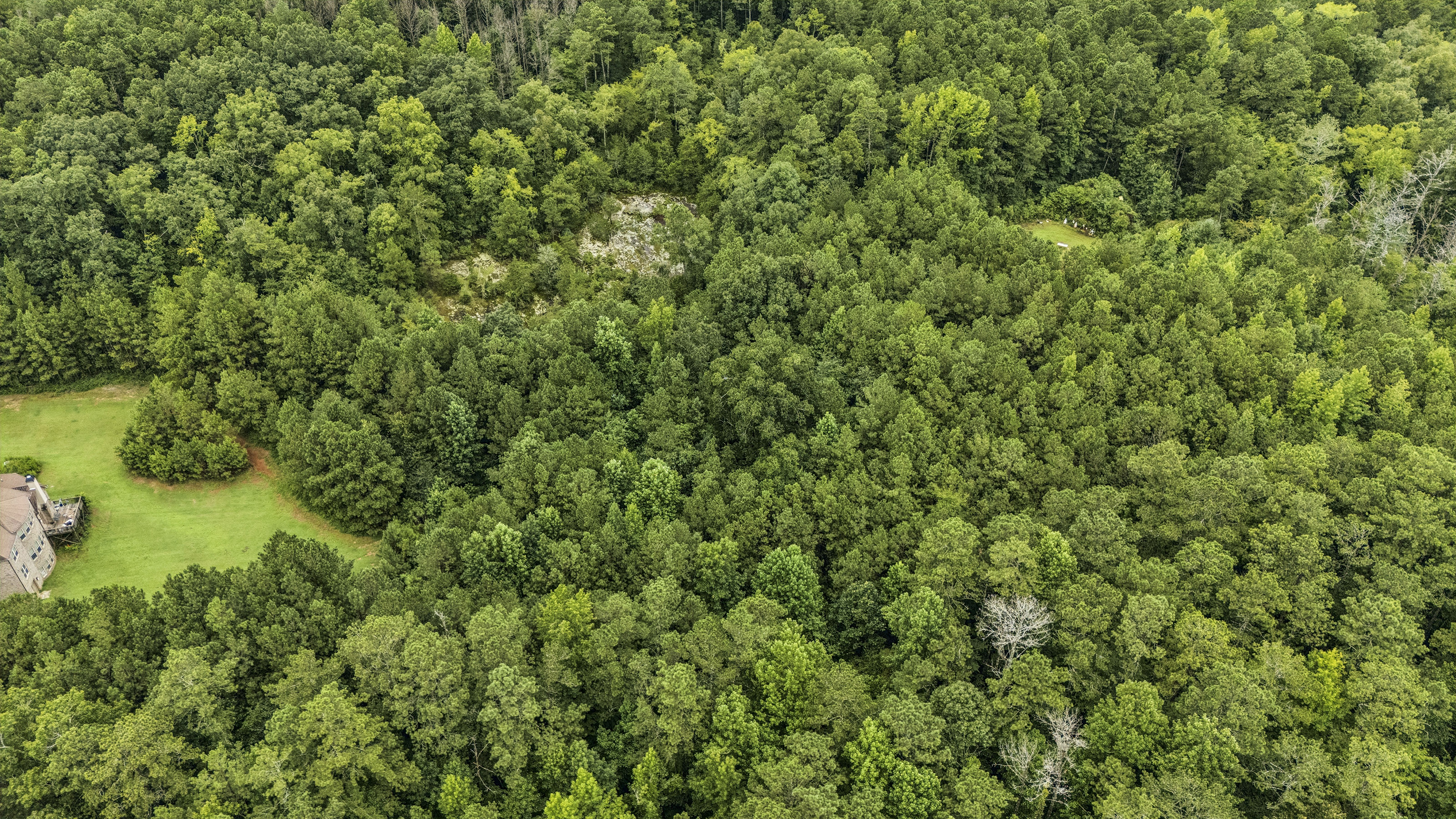  Incredible Opportunity on Over Ten Acres in Prime Stockbridge Location - 物件實景
