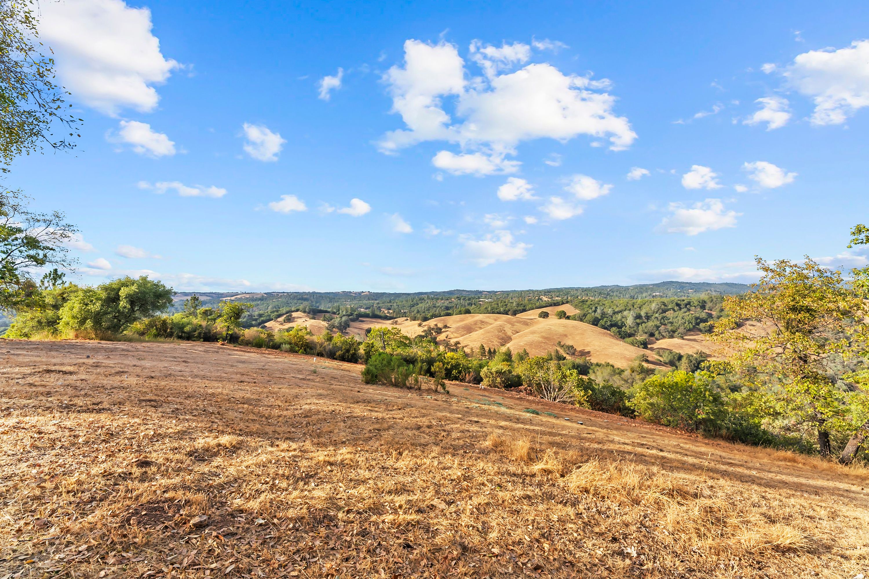  Sweeping Views. Gated Privacy. Minutes from Town - 物件實景