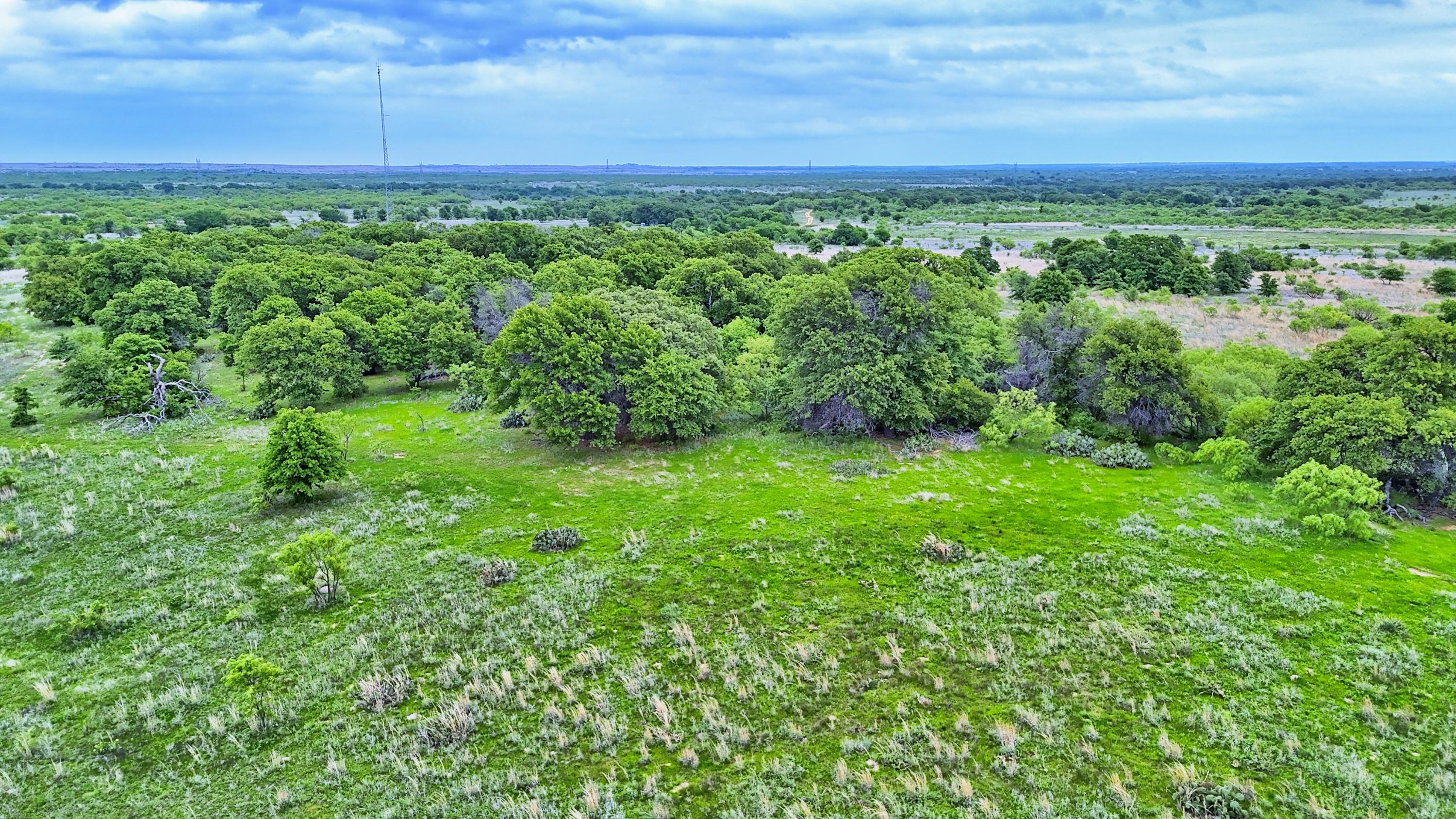  95 Acres in Clay County - 物件實景