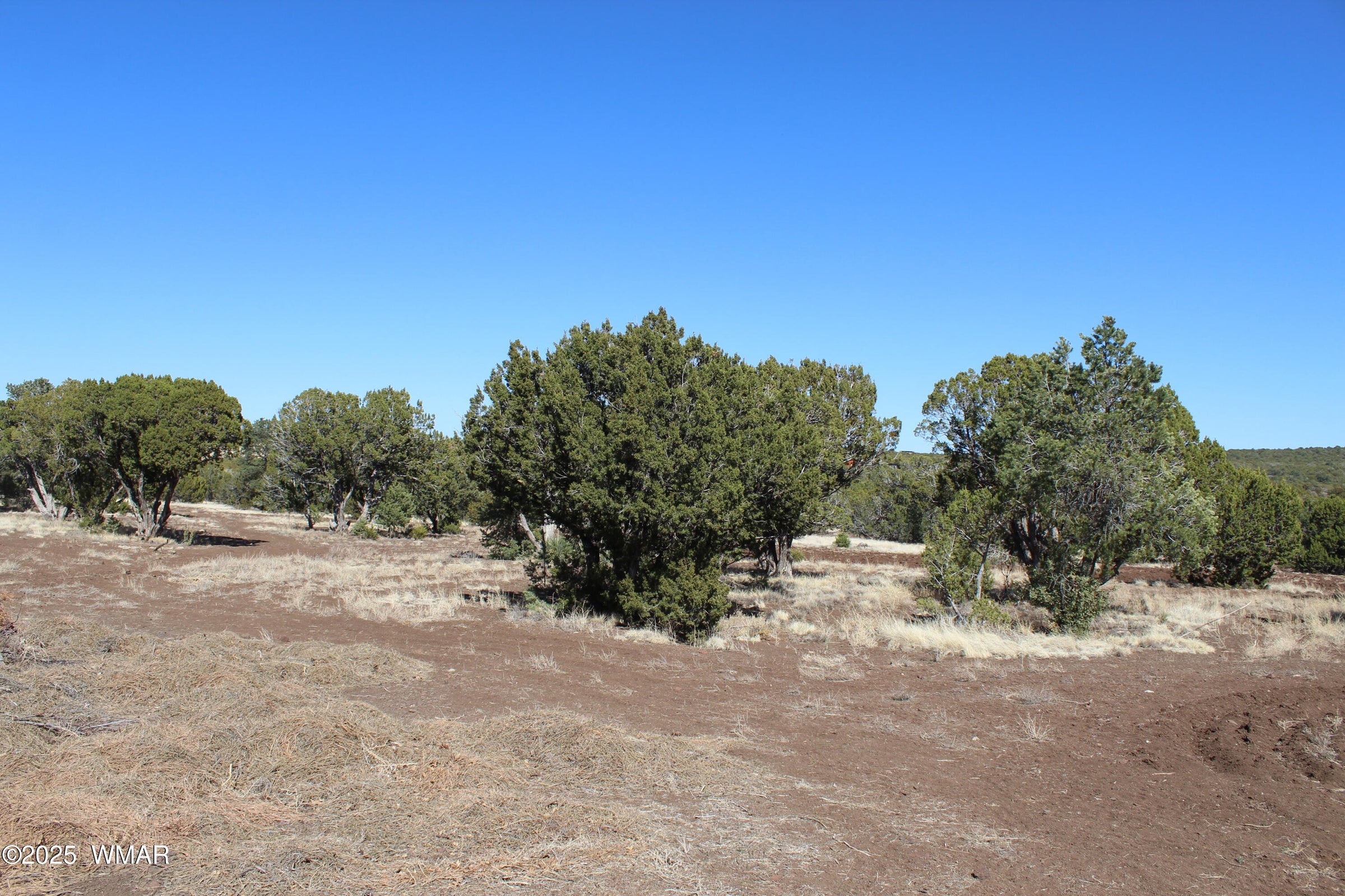 Concho, Arizona, 85924, United States, 4 Bedrooms Bedrooms, ,Residential,For Sale,2005351