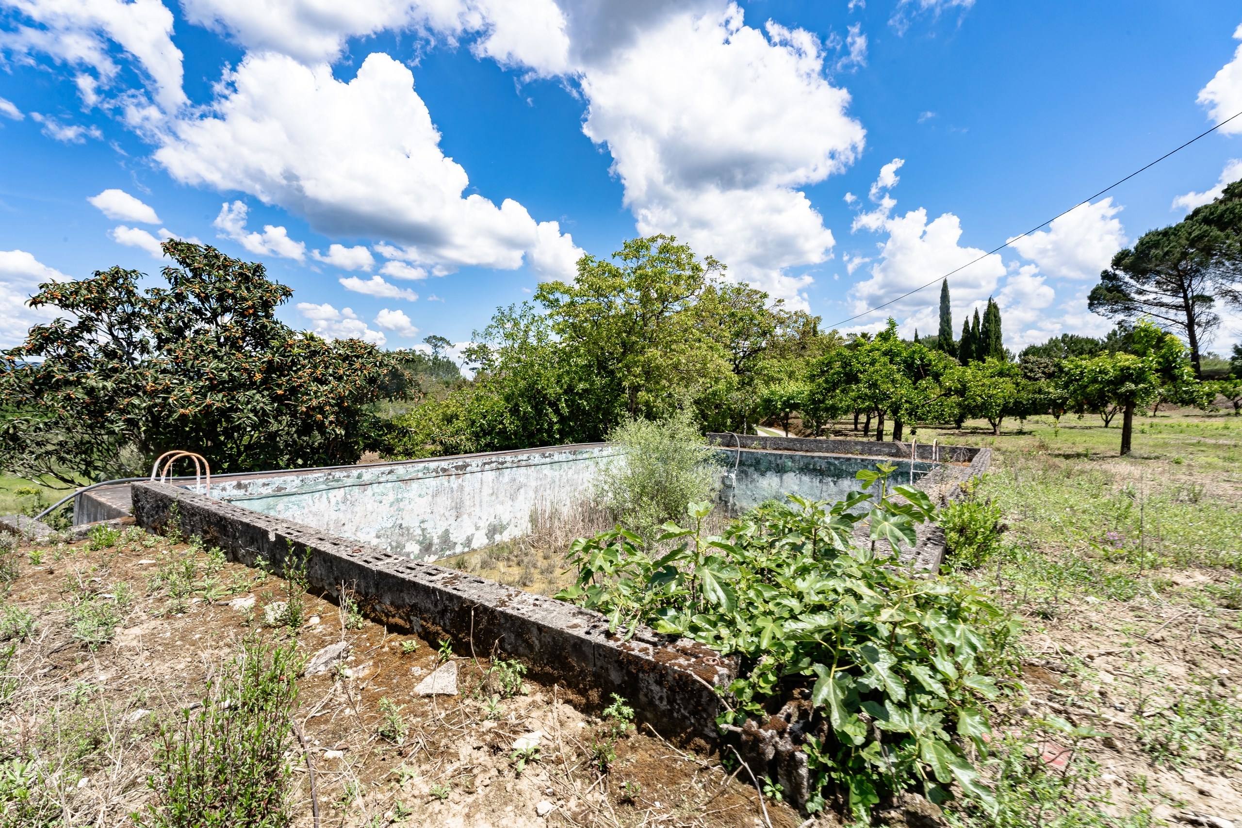 Coimbra, Coimbra, 3020-742, PT, 5 Bedrooms Bedrooms, ,3 BathroomsBathrooms,Residential,For Sale,1826993