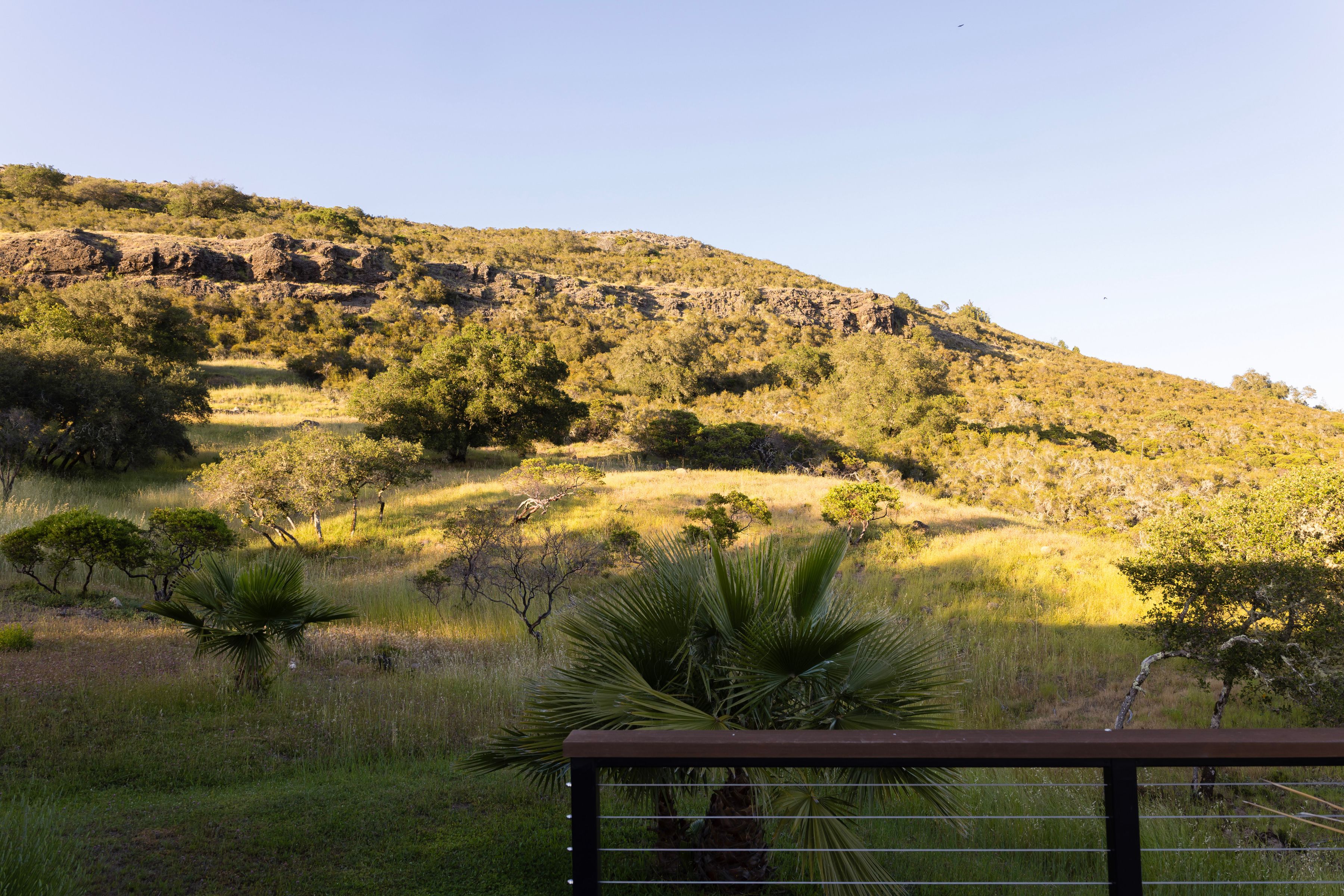  Income Producing Calistoga Compound - 物件實景