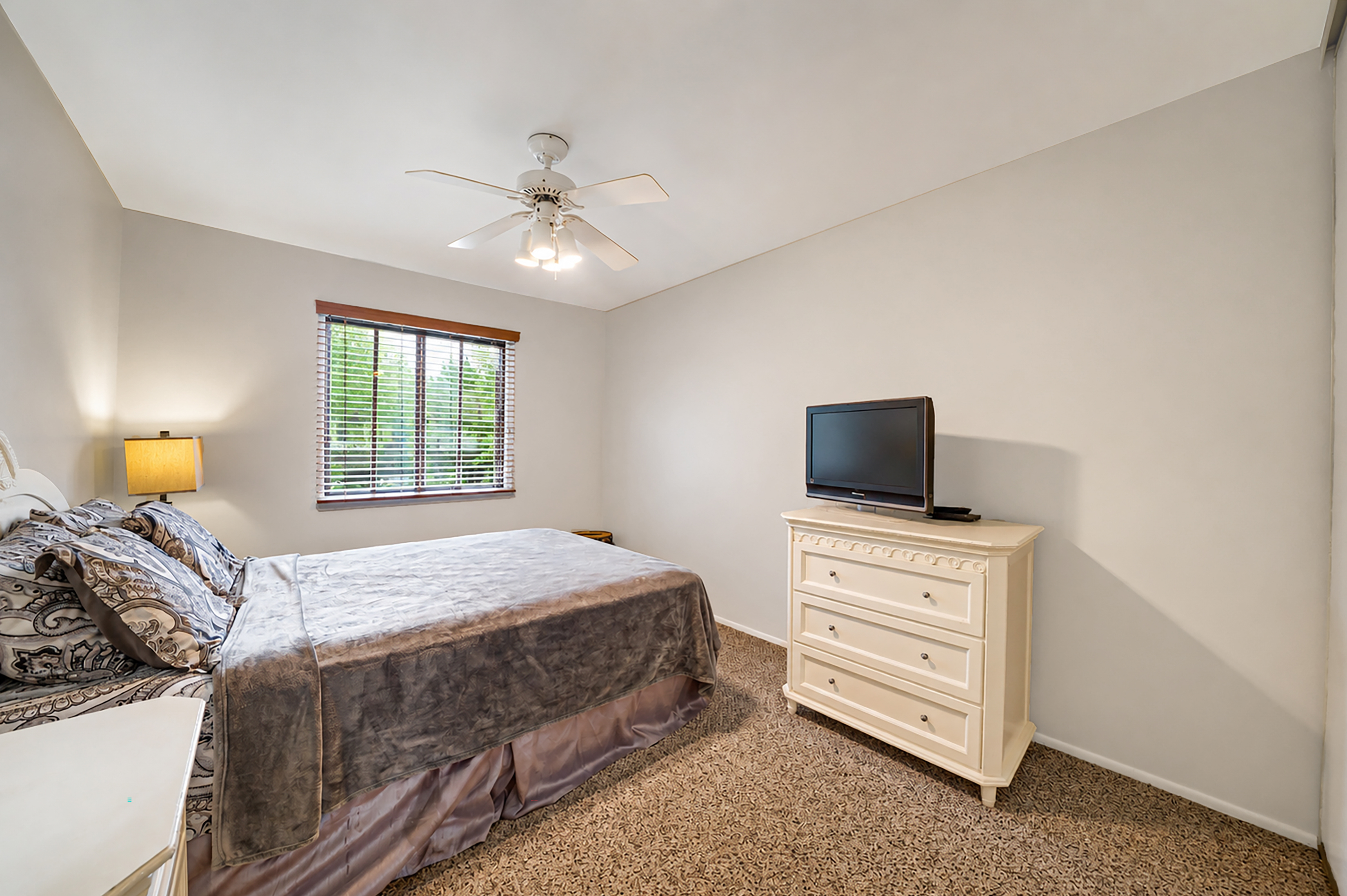  113 Laurel Lane, Wantagh, NY, 11793 - 物件實景