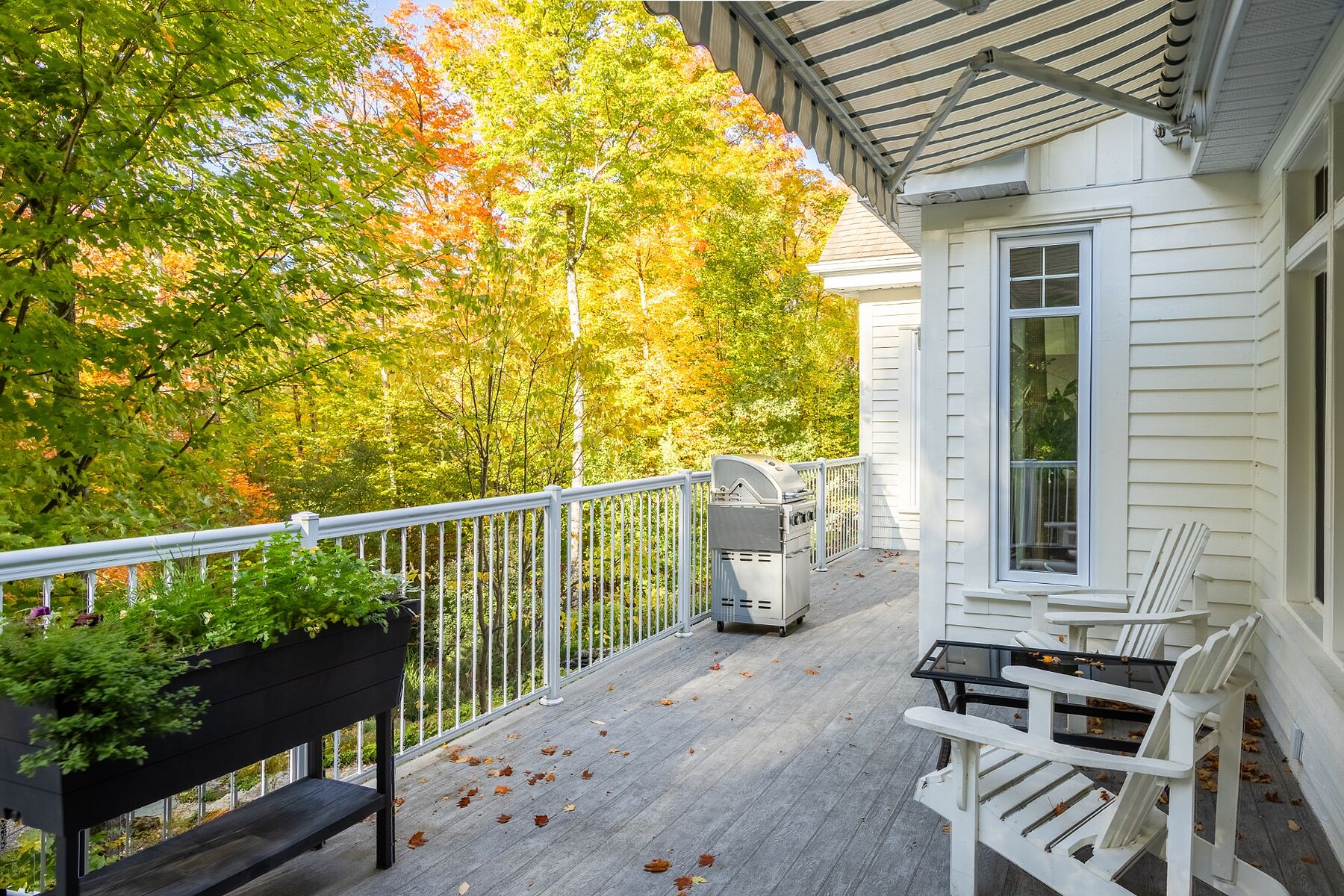 Sutton, Eastern Townships - 物件實景