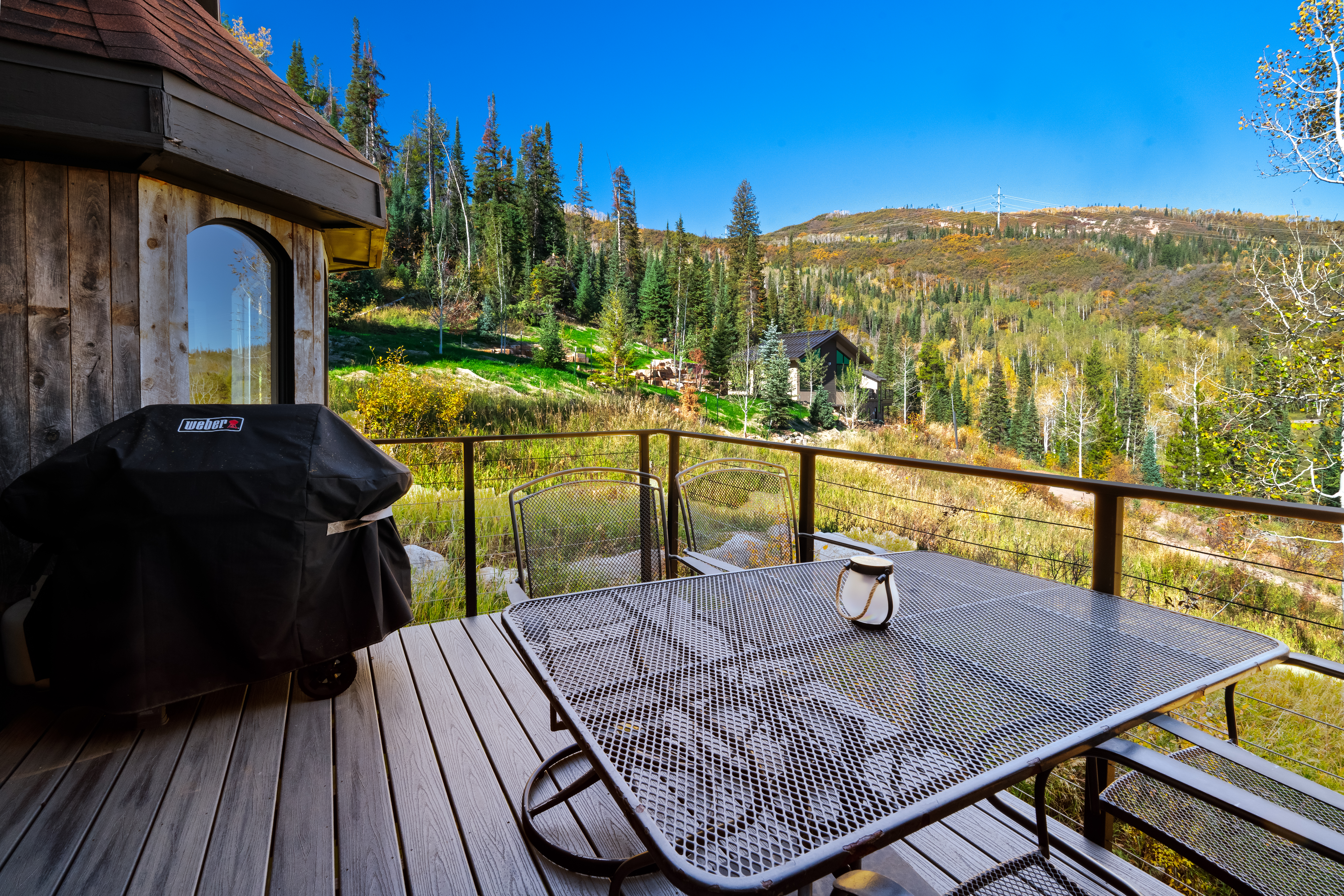  36881 Tree Haus Drive, Steamboat Springs, CO, 80487 - 物件實景