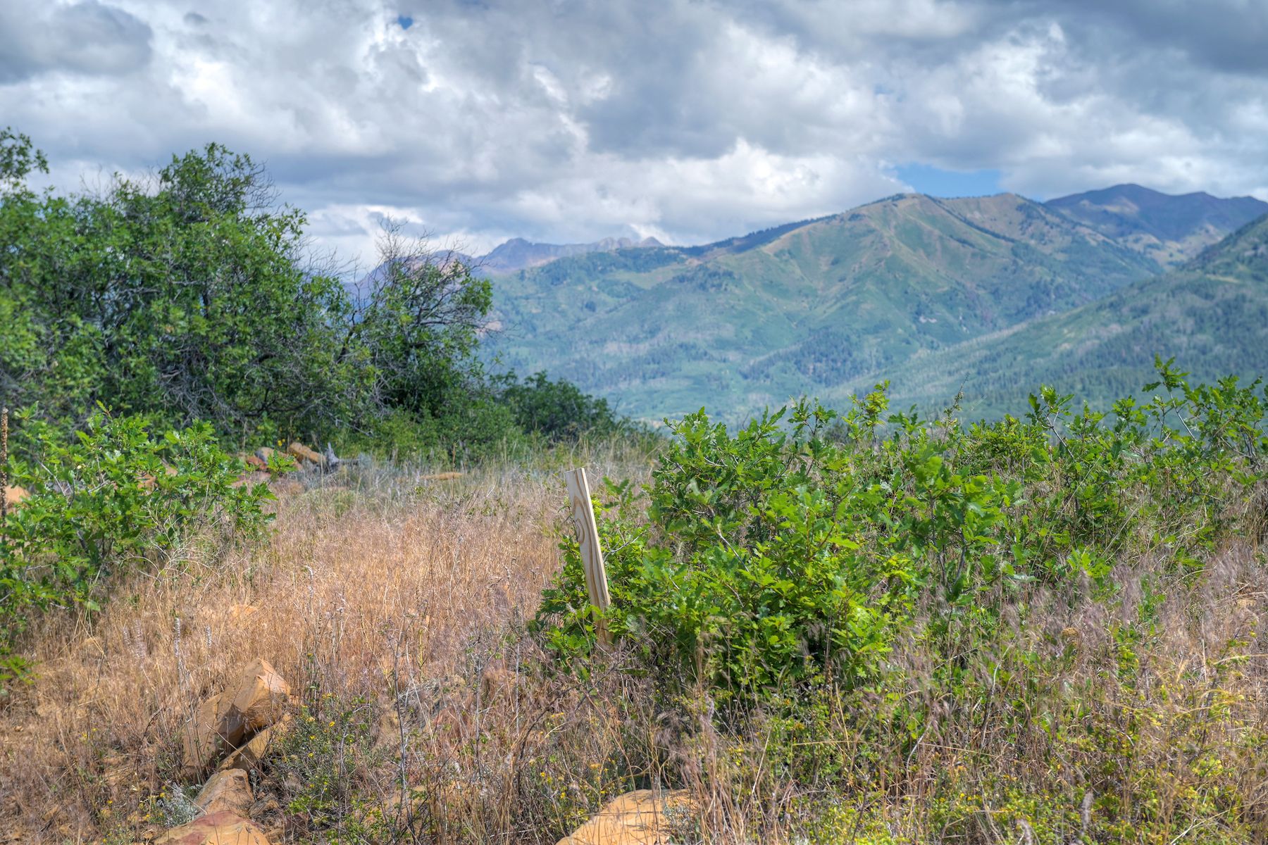  TBD Cross Creek Road, Hesperus, CO 81326 - 物件實景