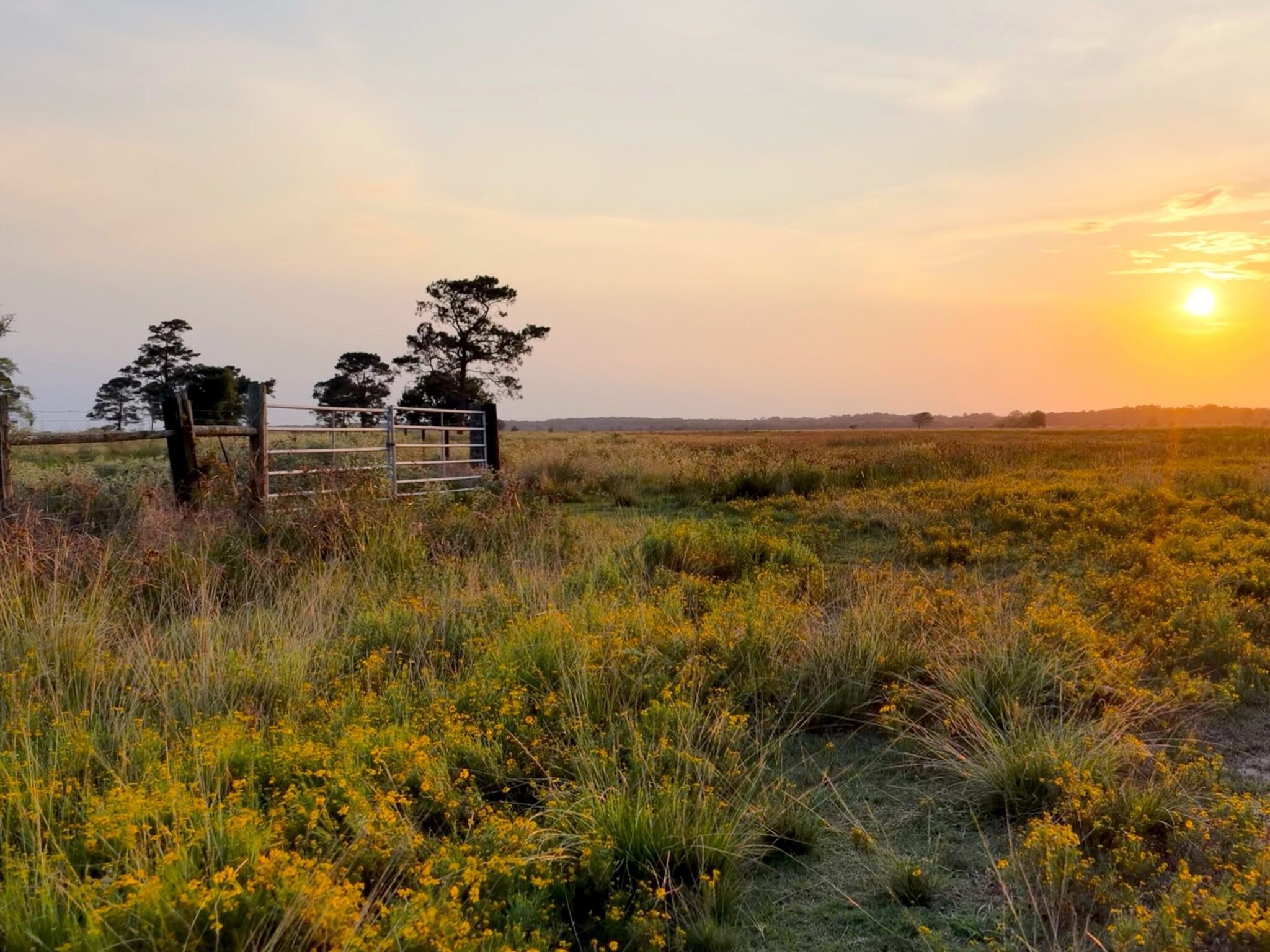 Anahuac, Texas, 77514, United States, ,Land,For Sale,1947447