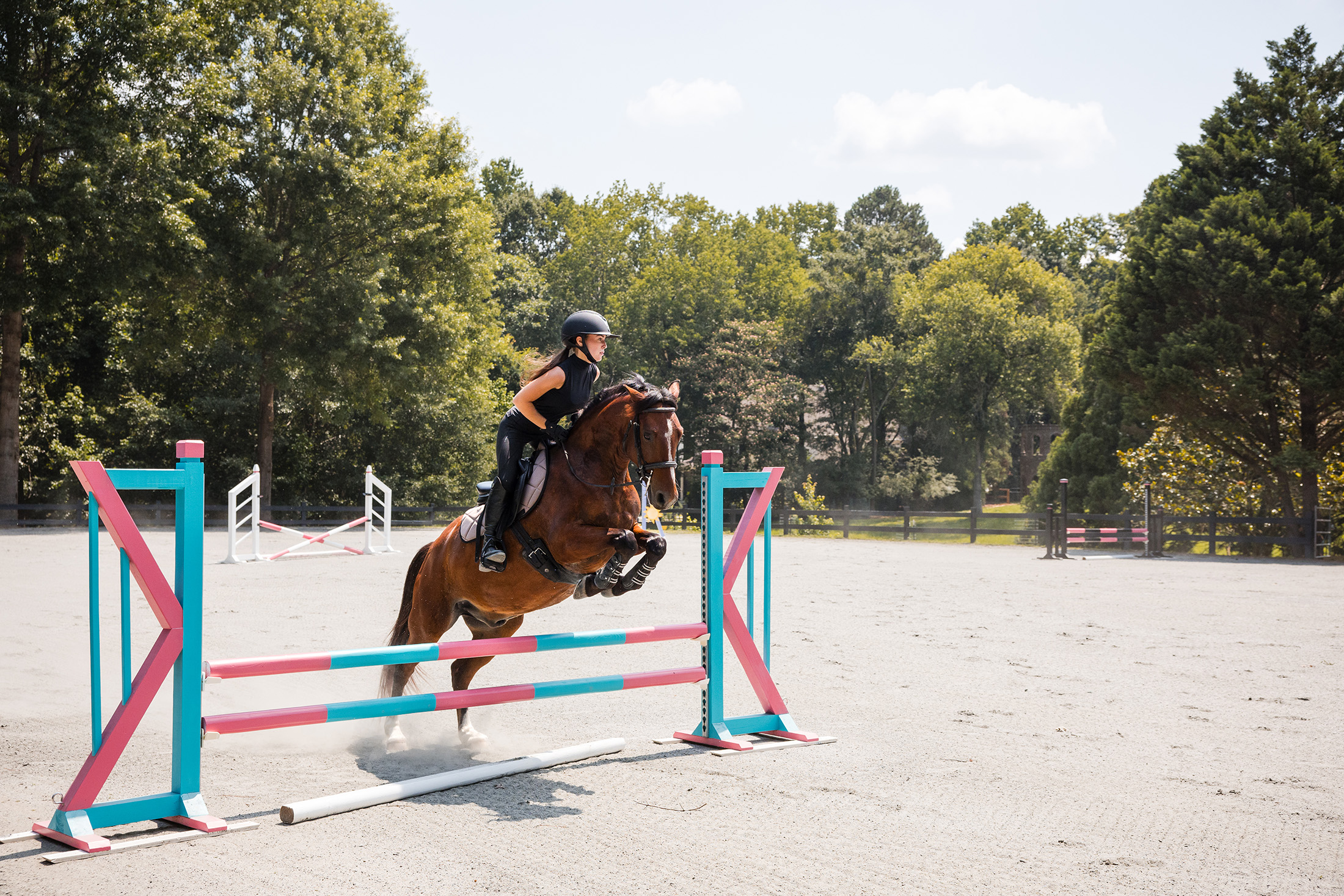  Rare Equestrian Facility with Prestigious Address - 物件實景