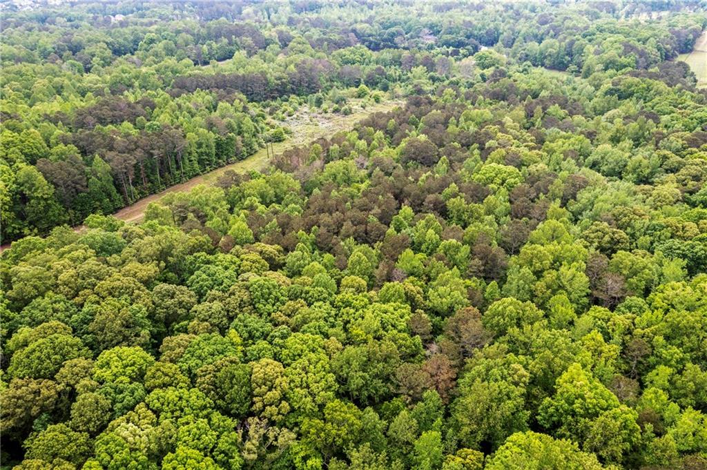 Alpharetta, Georgia, 30004, United States, ,Land,For Sale,1793114