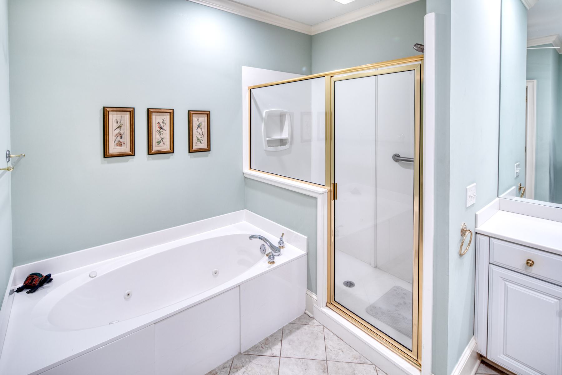  Effortless Living in Move-In Ready Home at The Landings on Skidaway Island - 物件實景