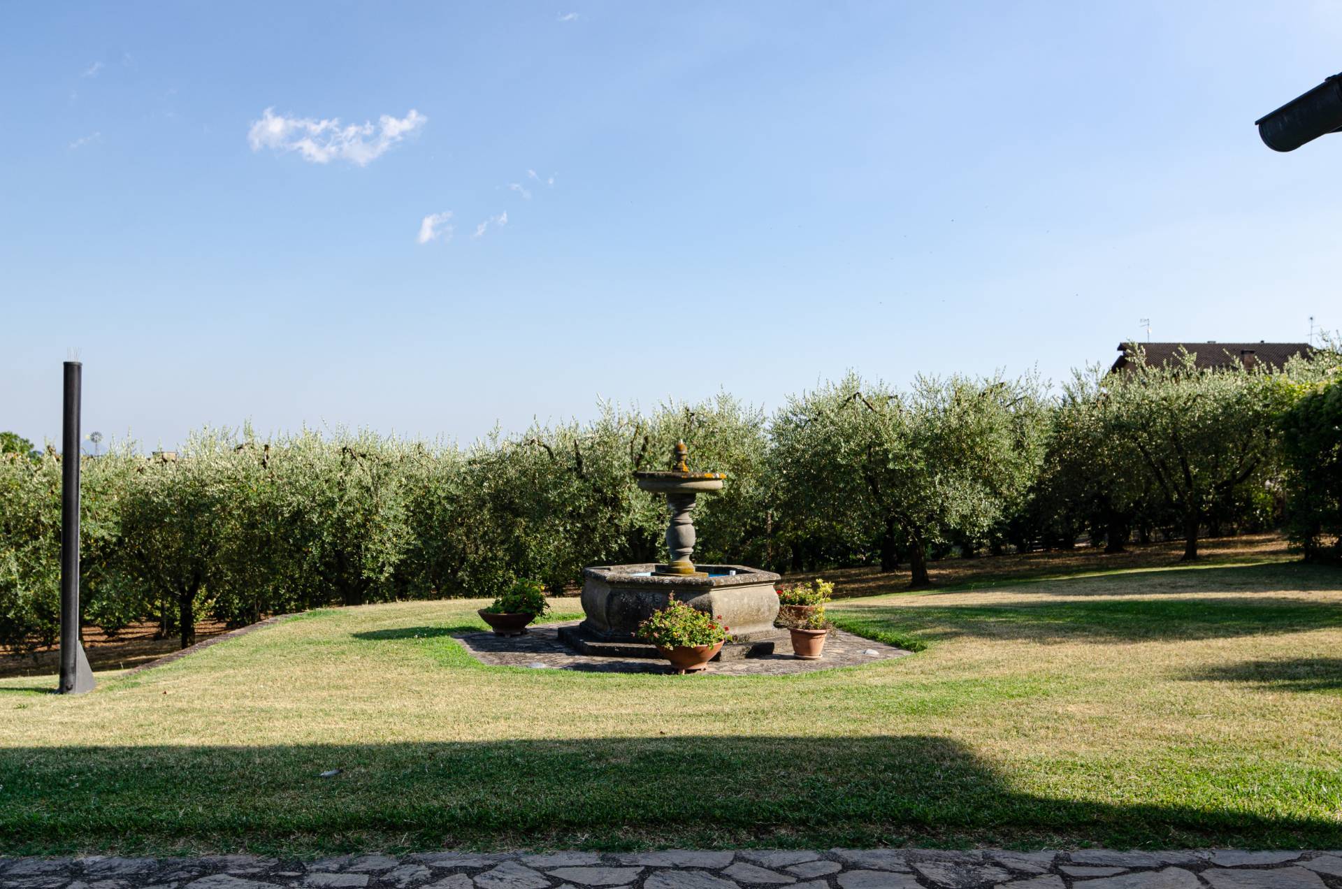 Strada Vicinale Valle Rote, Bassano in Teverina, Viterbo, 01030, IT, 6 Bedrooms Bedrooms, ,4 BathroomsBathrooms,Residential,For Sale,Strada Vicinale Valle Rote,1442905