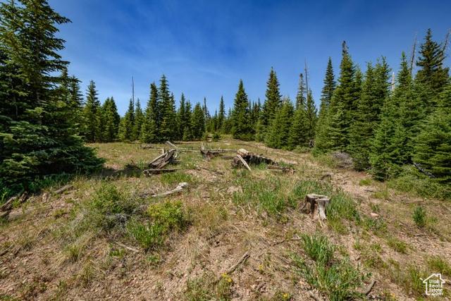 Brian Head, Utah, 84719, United States, ,Residential,For Sale,1915846