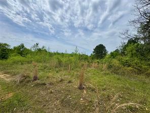 Naples, Texas, 75568, United States, ,Land,For Sale,1786234