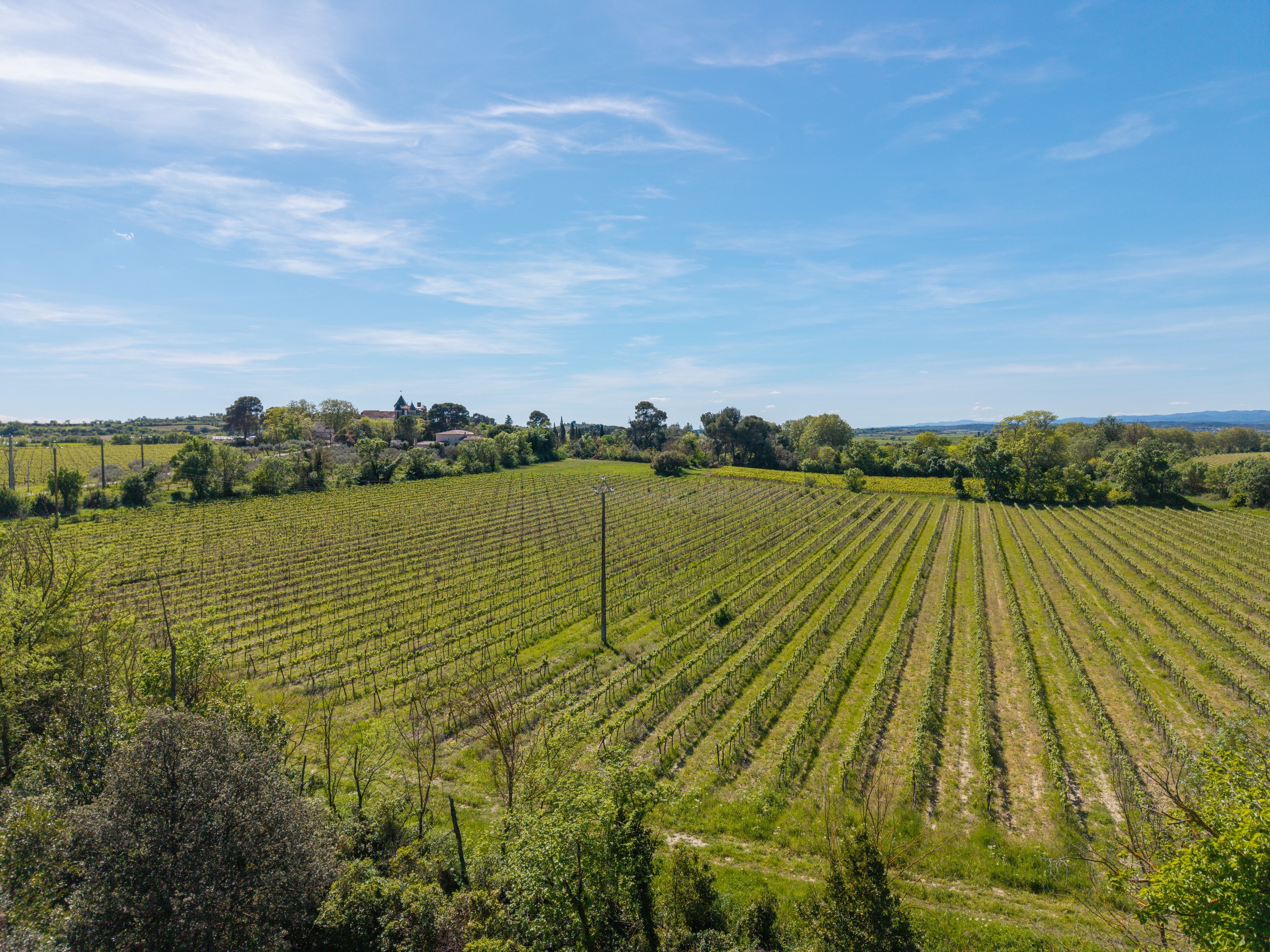  Exceptional vineyard estate – 75 hectares – Castle, grounds, swimming pool, and… - 物件實景
