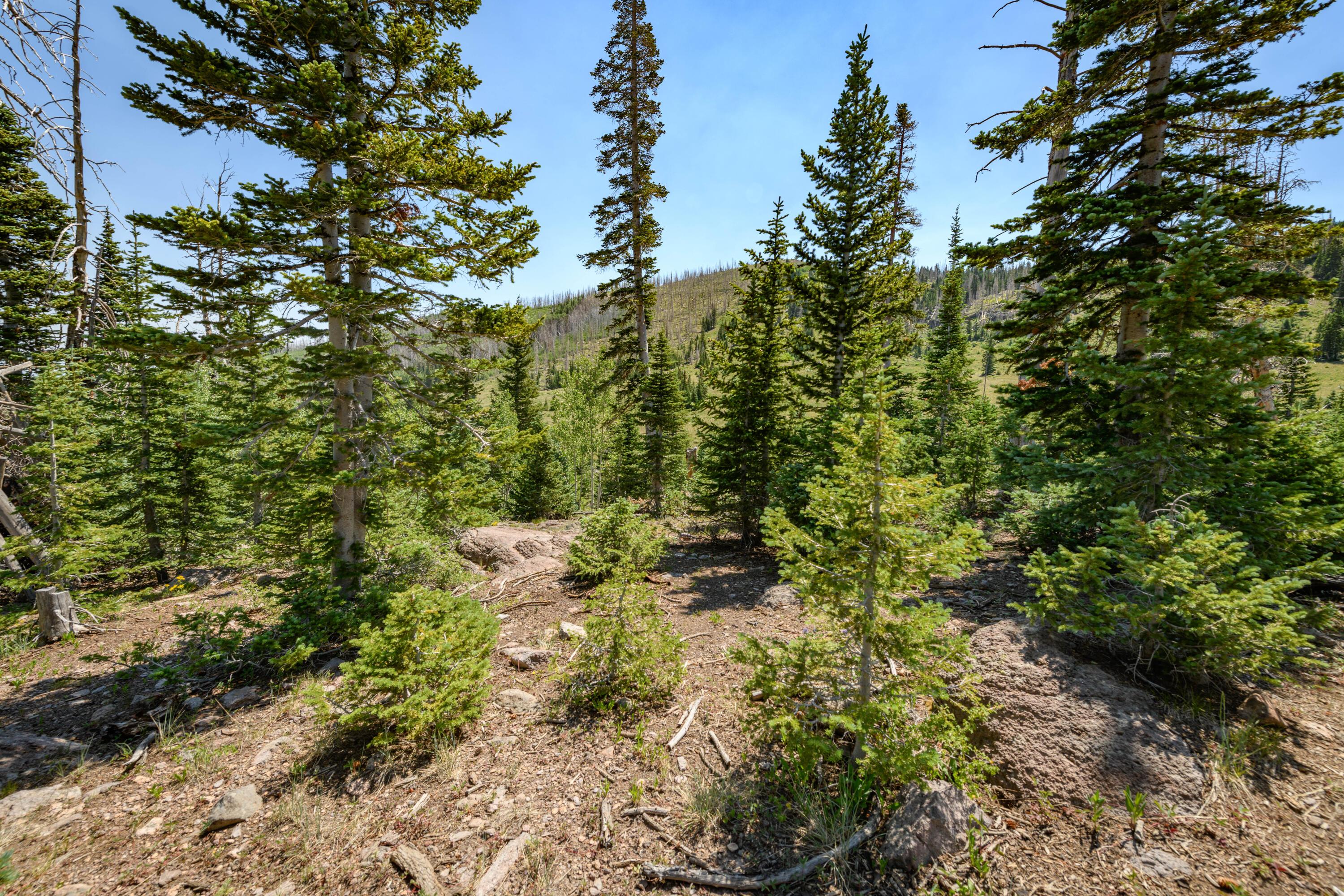 Brian Head, Utah, 84719, United States, ,Residential,For Sale,1983470