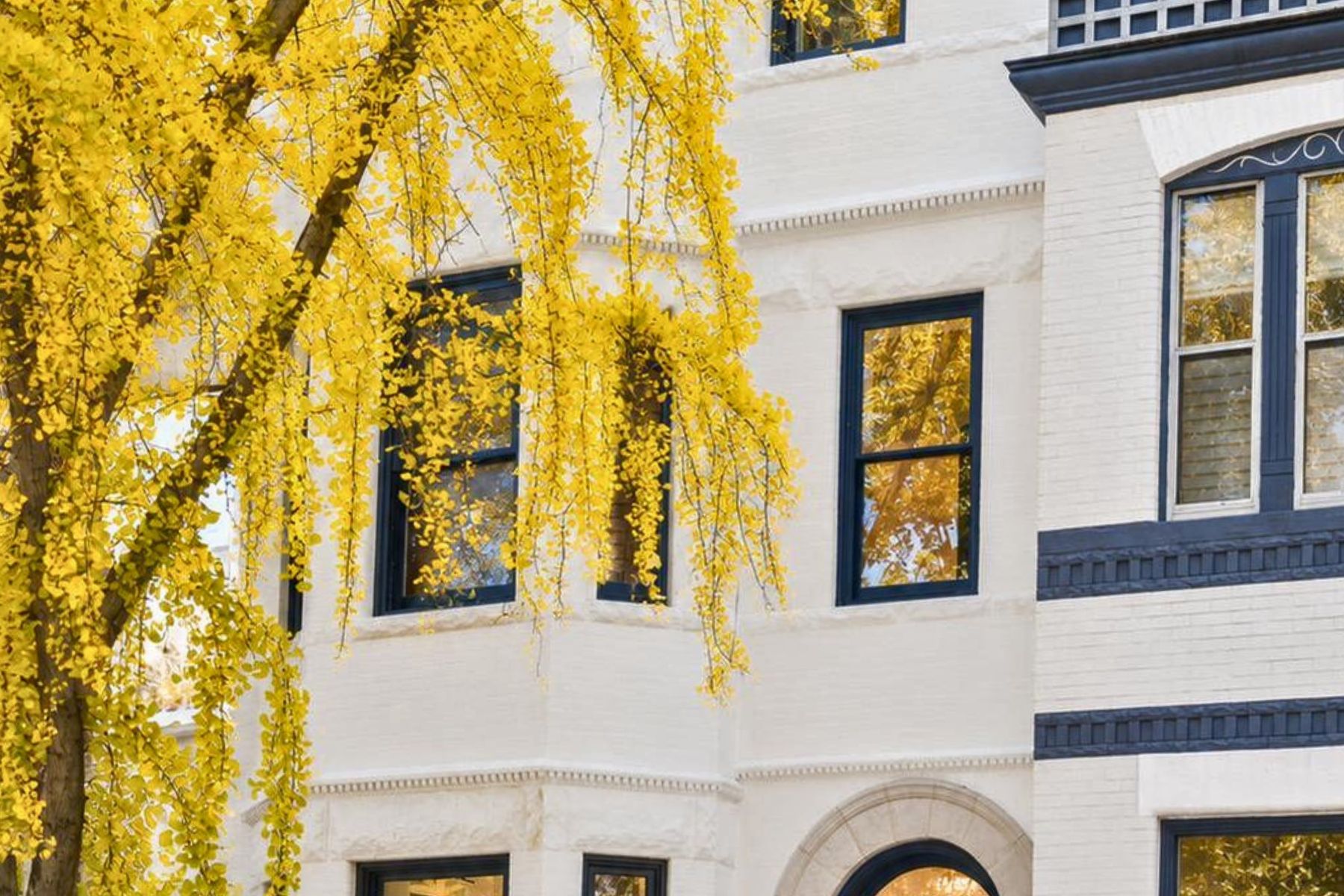  1716 Swann Street NW, Washington, DC, 20009 - 物件實景
