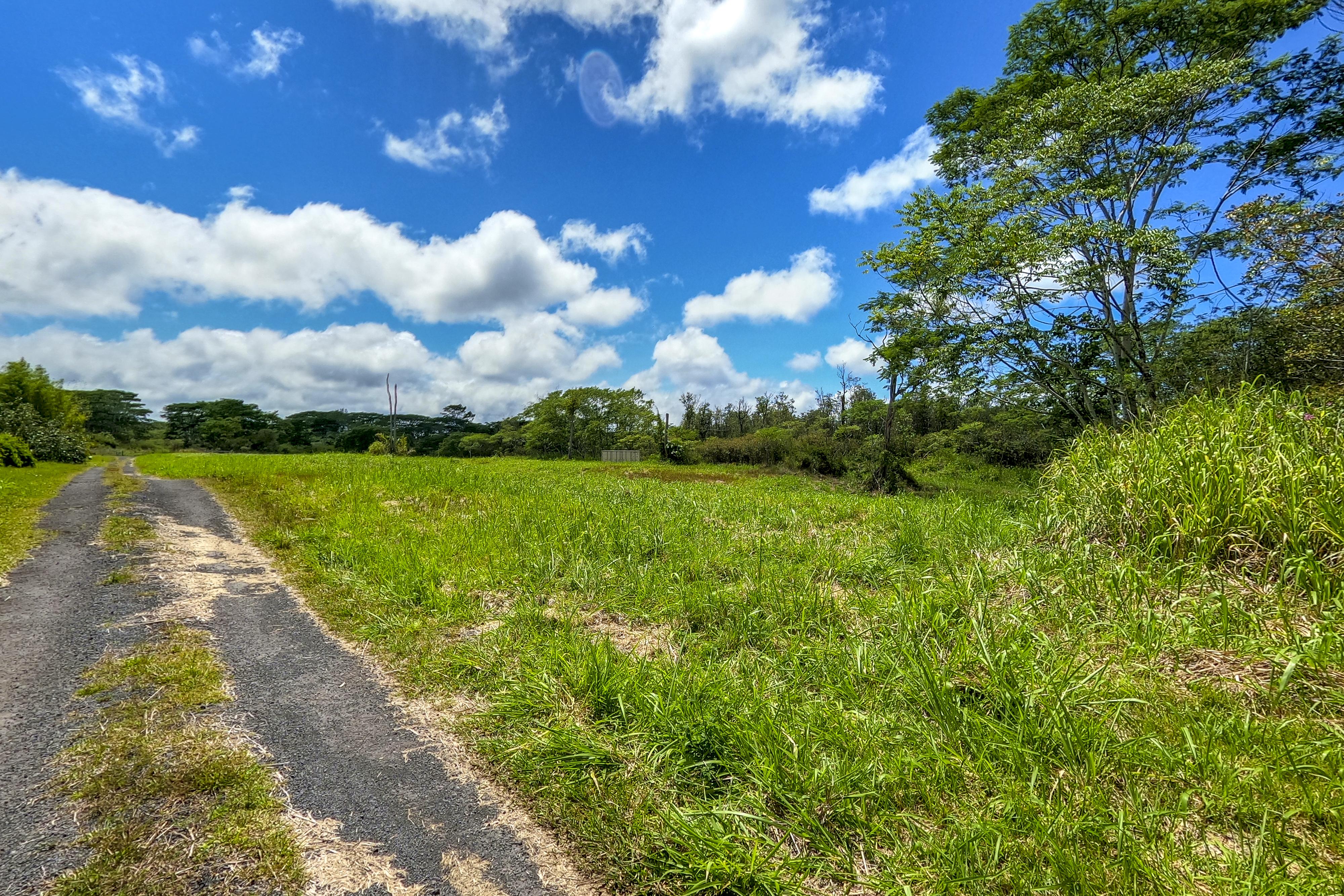  17-820 Manaolana Road, Kurtistown, HI, 96760 - 物件實景