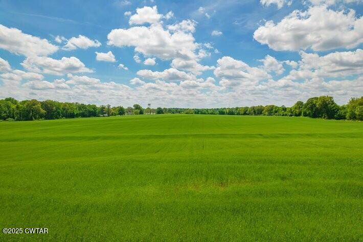 Brownsville, Tennessee, 38012, United States, ,Land,For Sale,1894794