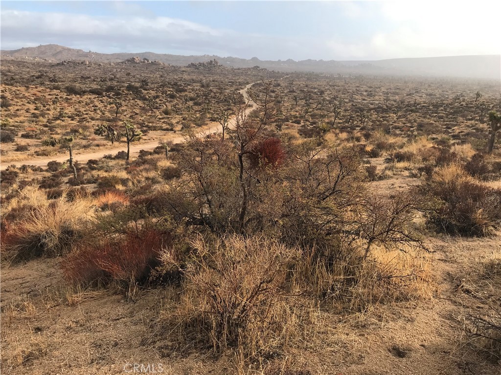 200 Gods Way Love Road W, Pioneertown, California, 92268, United States, ,Land,For Sale,200 Gods Way Love Road W,1435338
