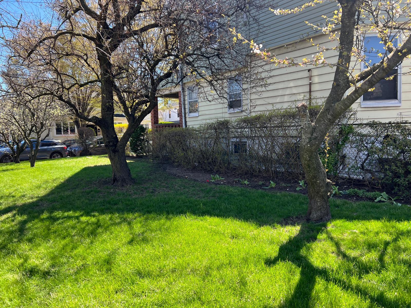 Brooklyn, New York, 11210, United States, ,Residential,For Sale,1779067