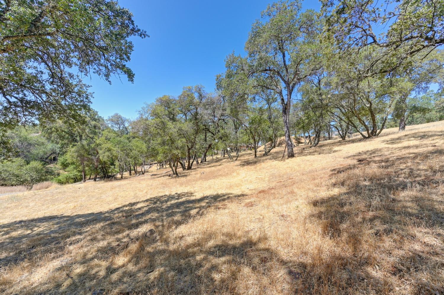 5211 Da Vinci Drive, El Dorado Hills, California, 95762, United States, ,Land,For Sale,5211 Da Vinci Drive,1573000