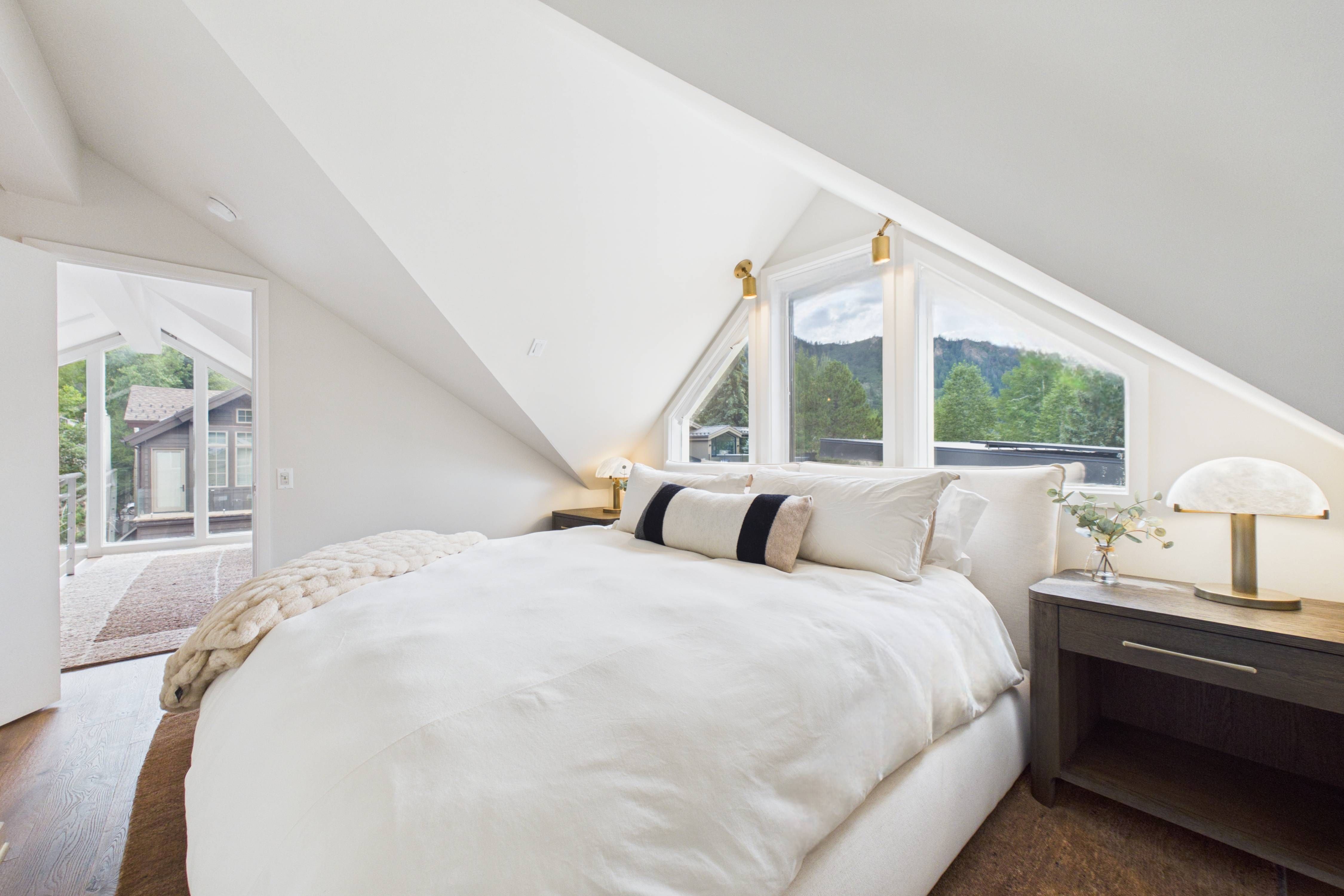  915 East Hopkins Avenue, Aspen, CO 81611 - 物件實景