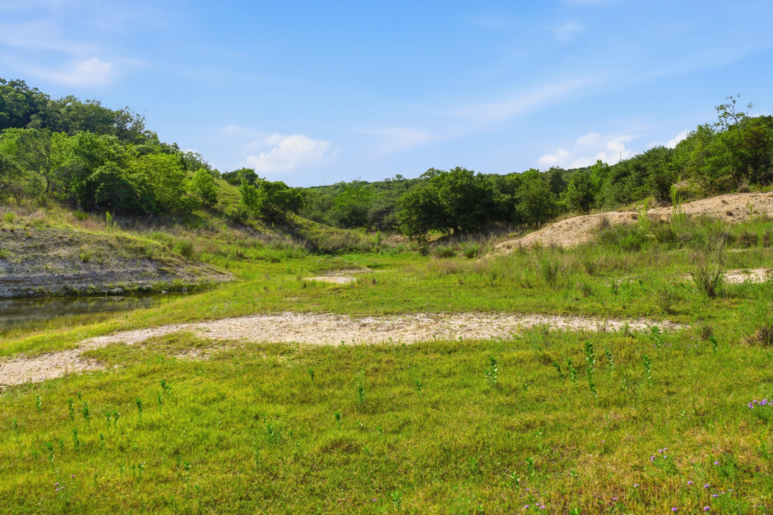  72+/- Acre Palmetto Creek Ranch - 物件實景