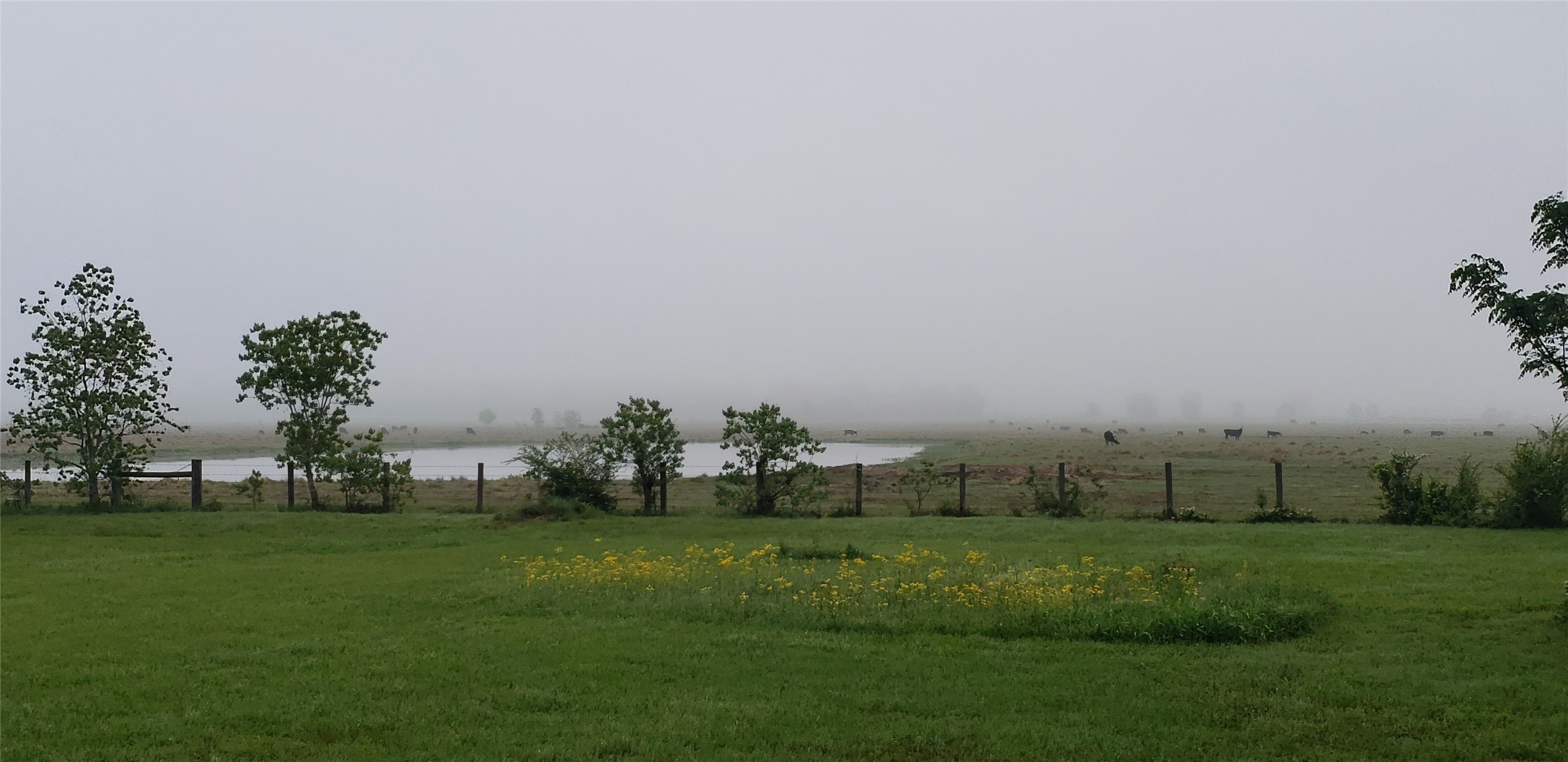 Hockley, Texas, 77447, United States, 2 Bedrooms Bedrooms, ,1 BathroomBathrooms,Residential,For Sale,1974890