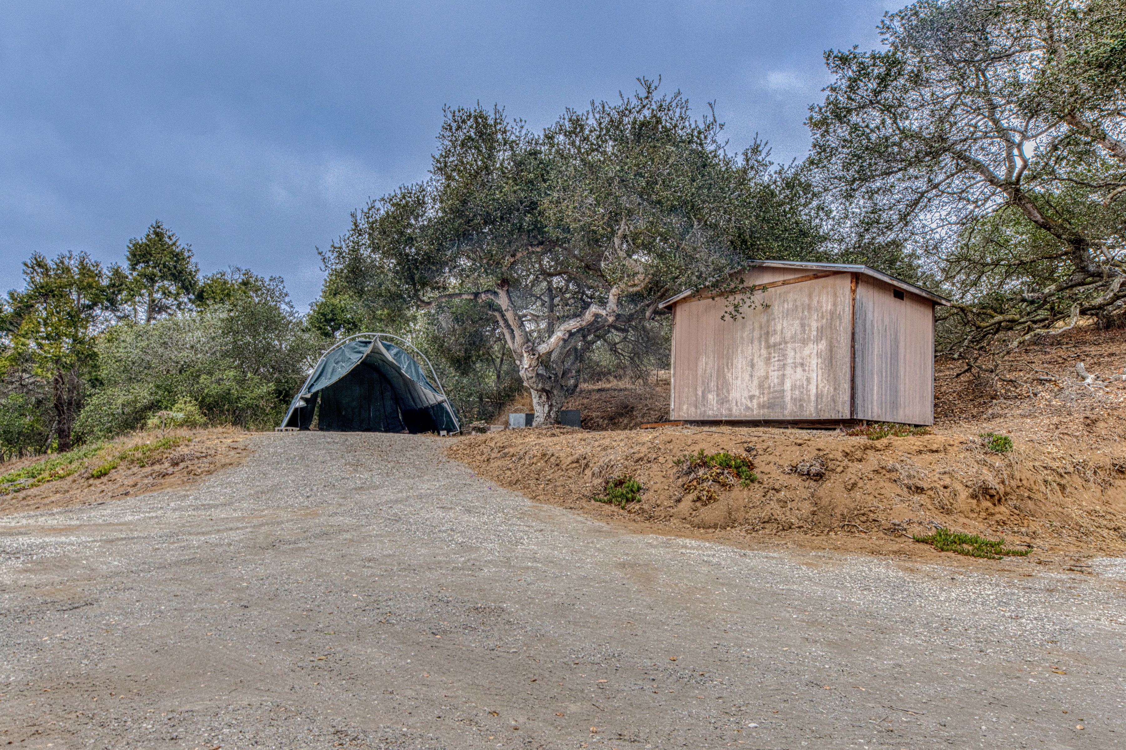  501 Maher Road #A, Royal Oaks - 物件實景