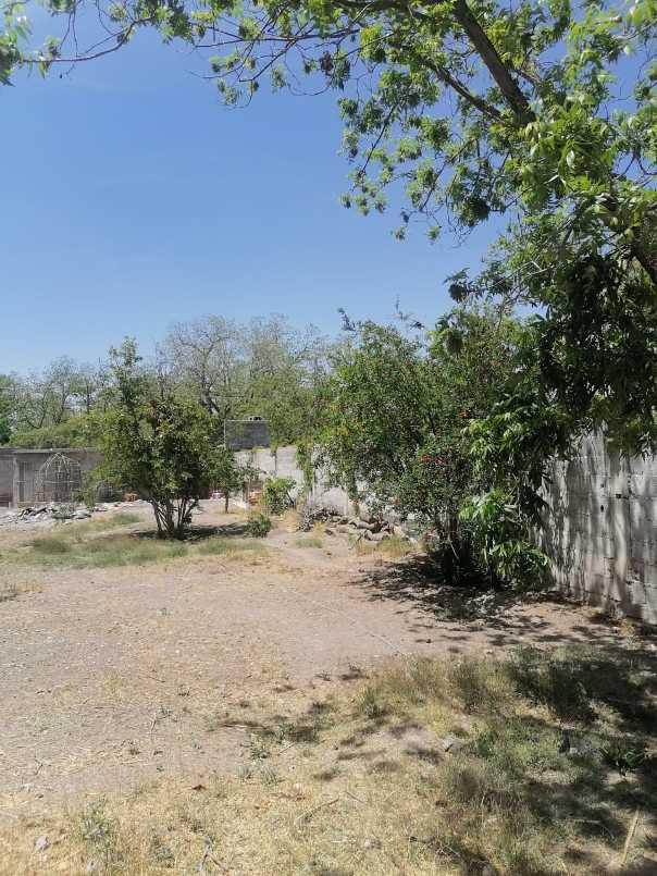 MORELOS, Parras, Coahuila de Zaragoza, 27980, Mexico, 3 Bedrooms Bedrooms, ,2 BathroomsBathrooms,Residential,For Sale,MORELOS,1271157