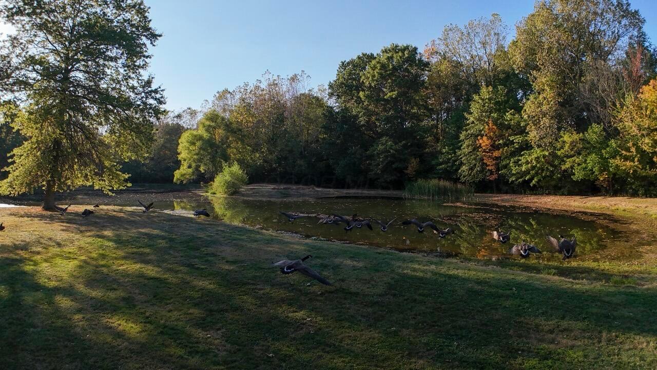 Cardington, Ohio, 43315, United States, 3 Bedrooms Bedrooms, ,2 BathroomsBathrooms,Residential,For Sale,1983191