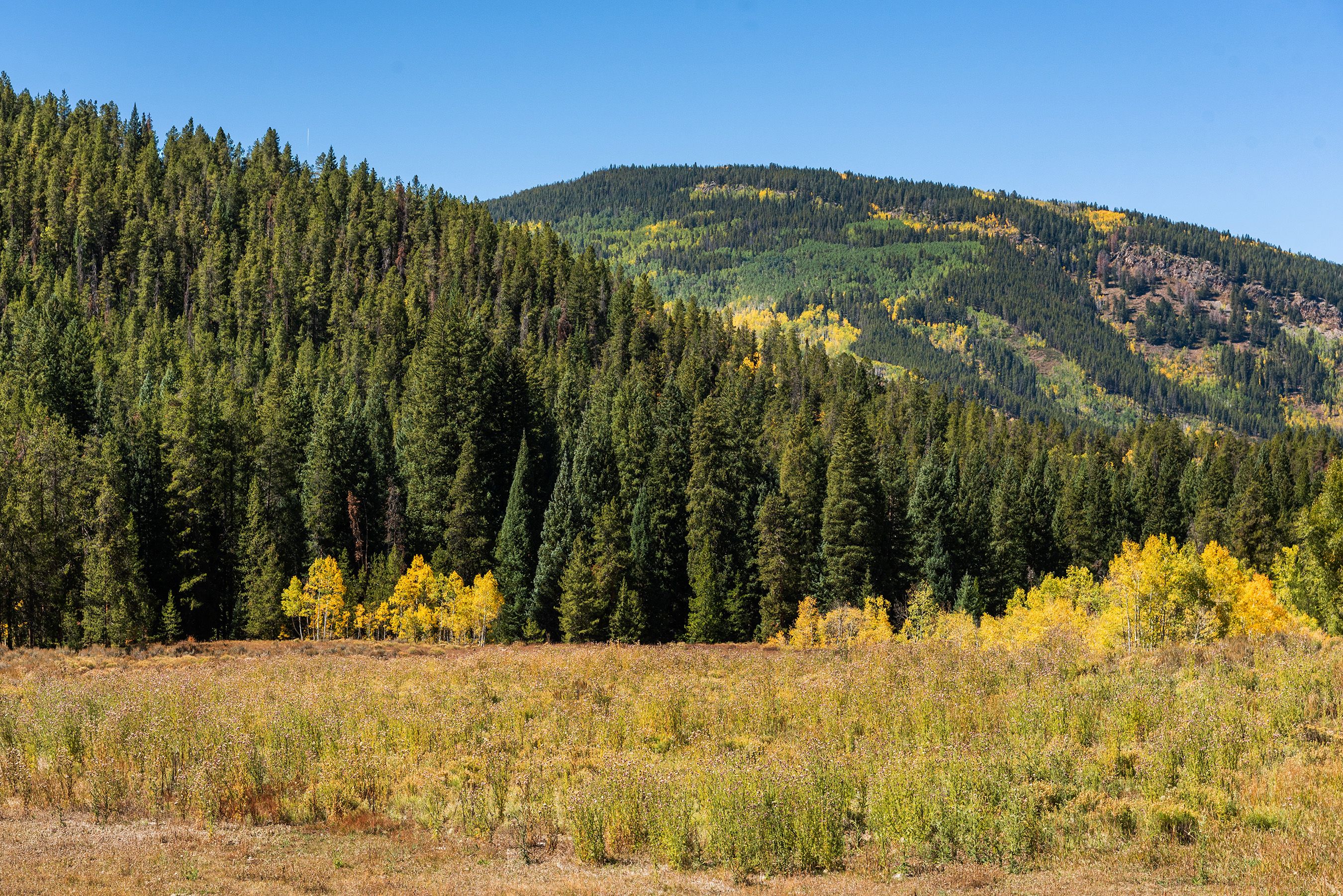  2450 North Fork Road, Meredith, CO, 81642 - 物件實景