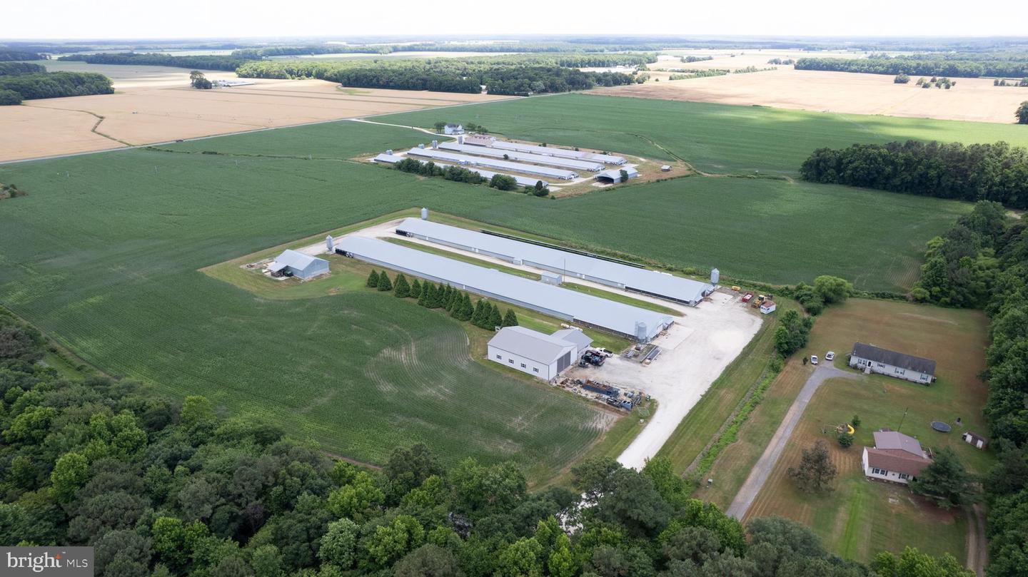 Hurlock, Maryland, 21643, United States, ,Residential,For Sale,1990296