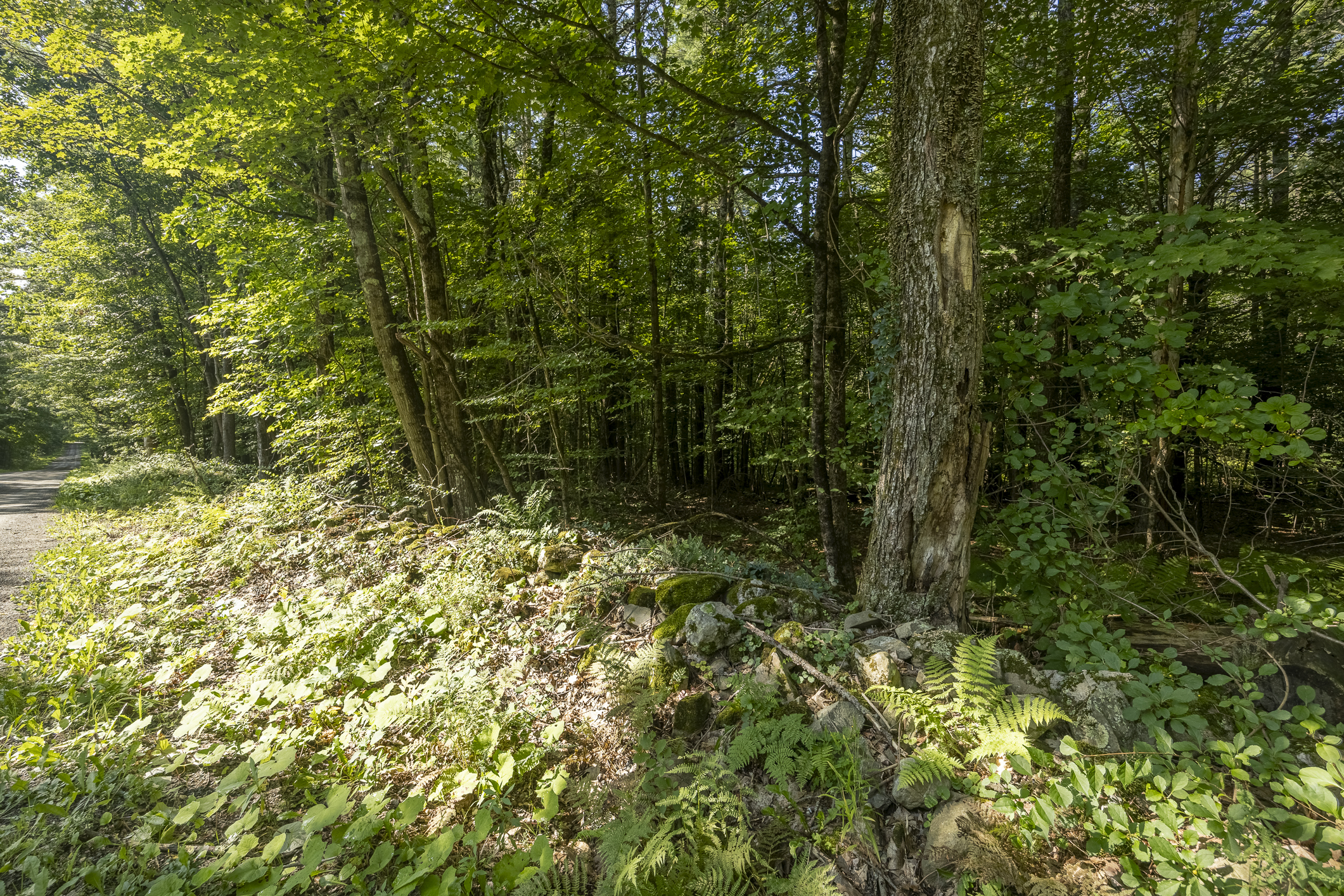  1,180+ Feet of Frontage: Privacy & Seclusion within Easy Reach of the Berkshires - 物件實景